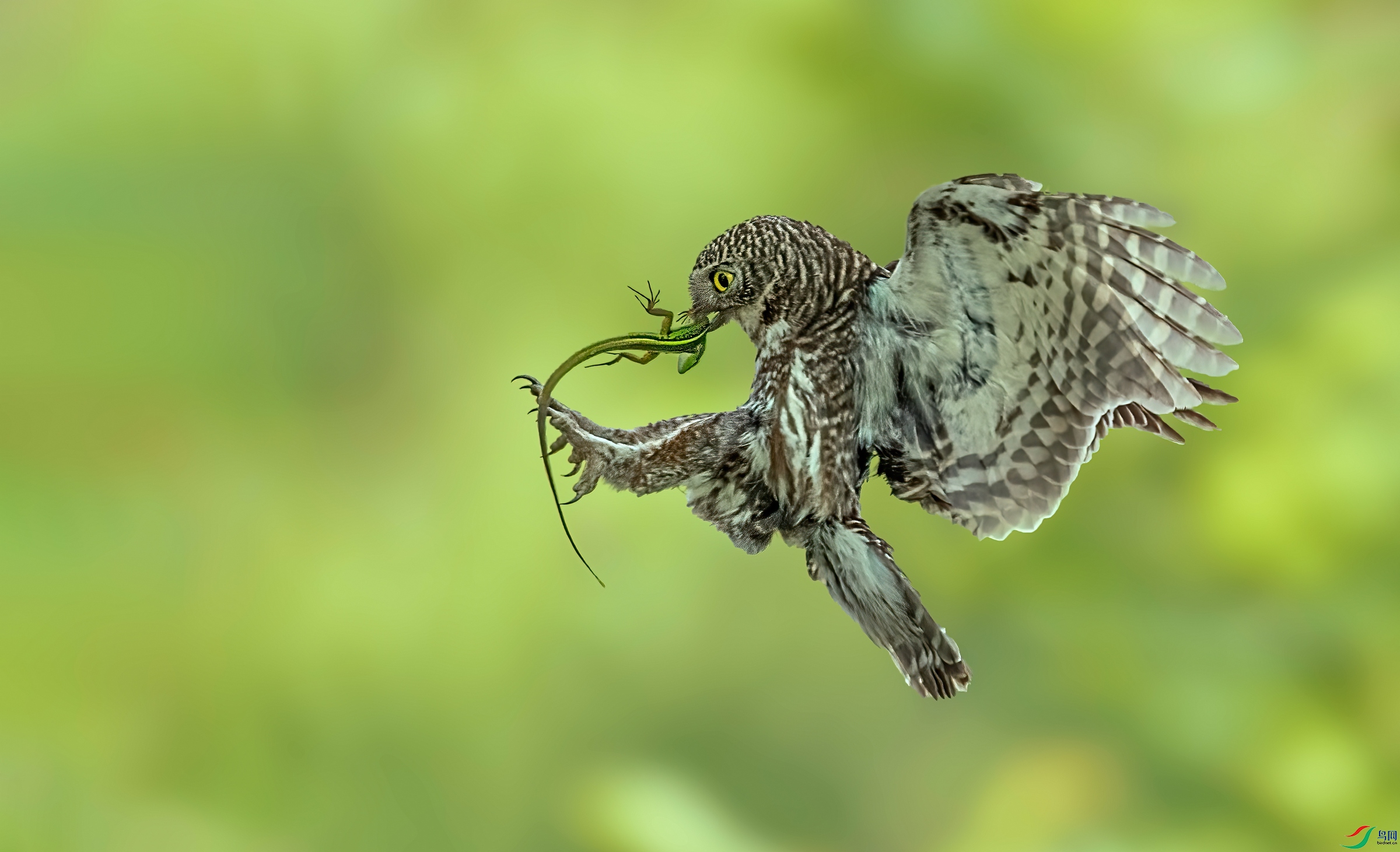 ��Ƭ _DSC0110 ����1.jpg