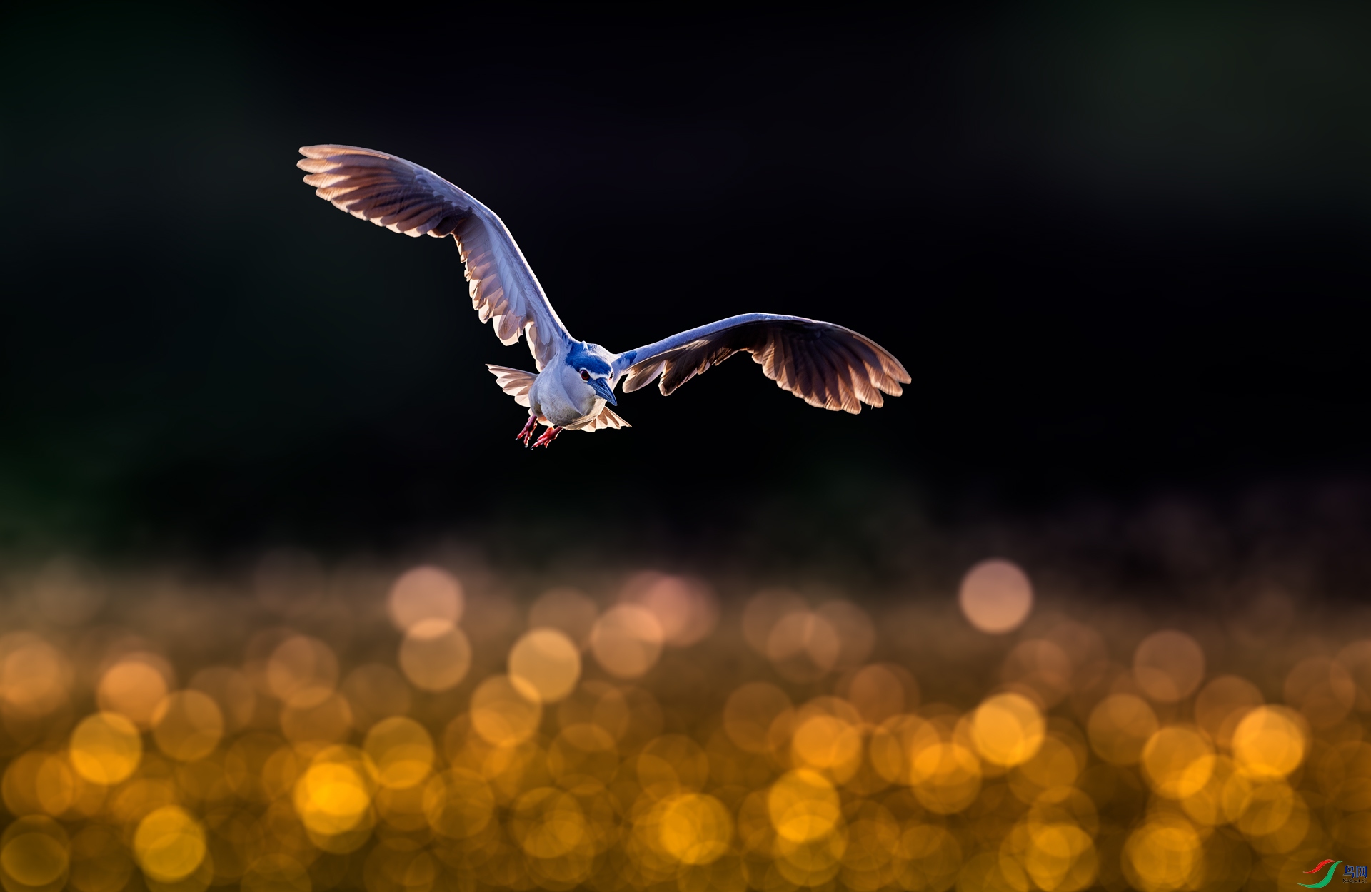 ������԰