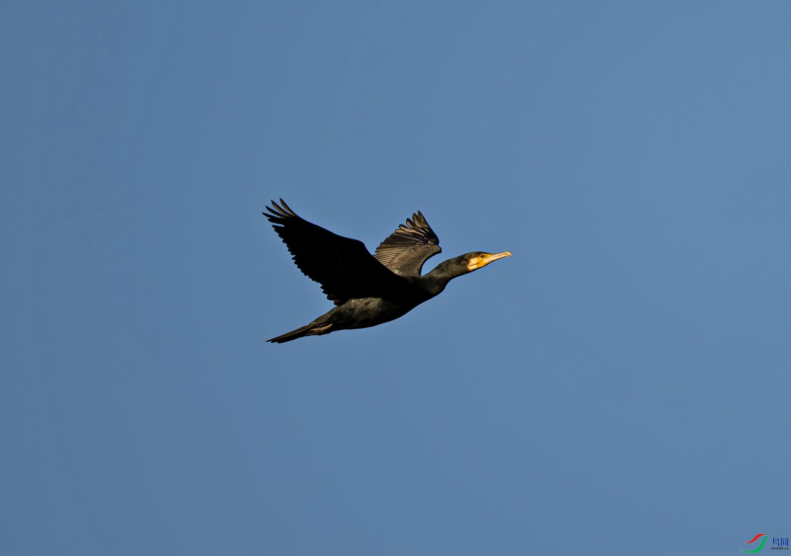 _DSC6284f_��ͼ��.jpg