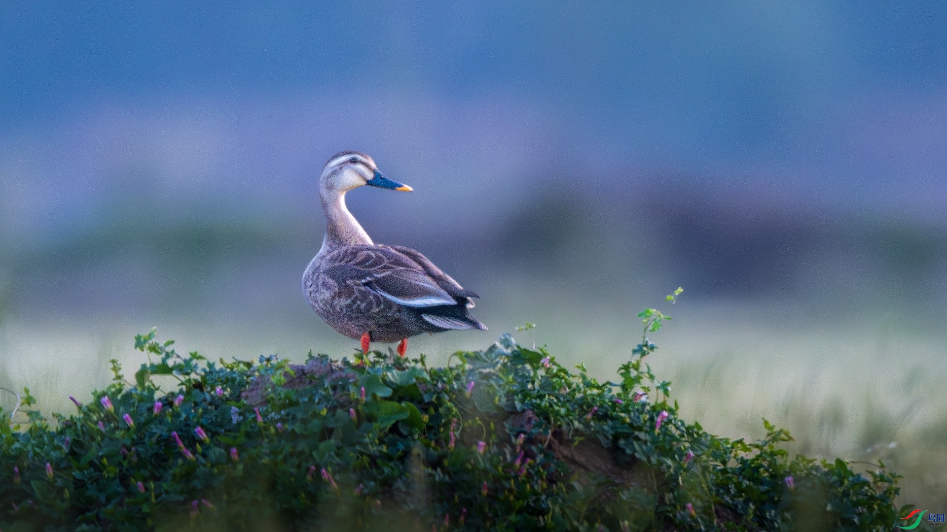 2_XXL0994-����ǿ-NR ����.jpeg