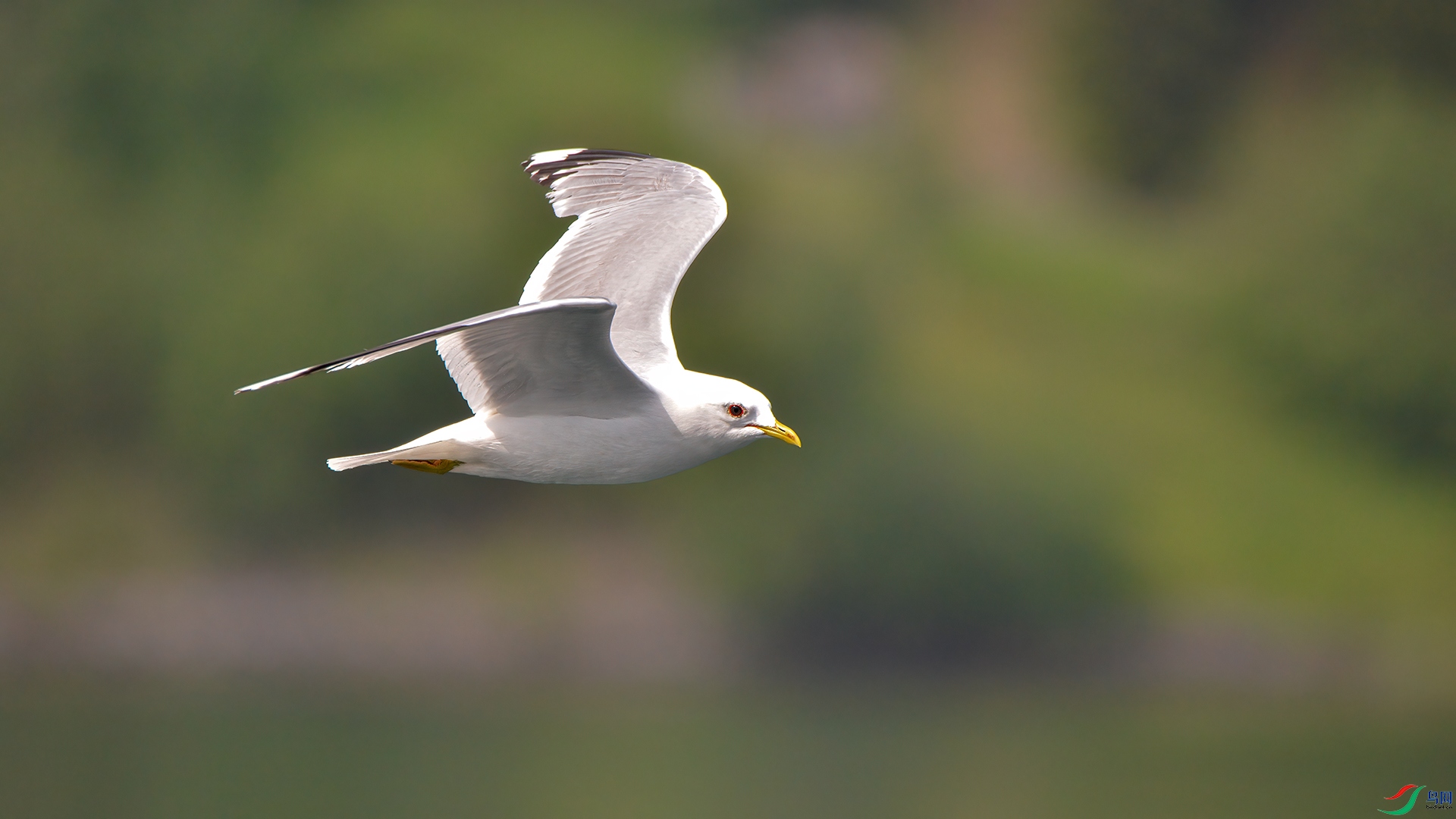 DSC_7579���޺�Ÿ.jpg