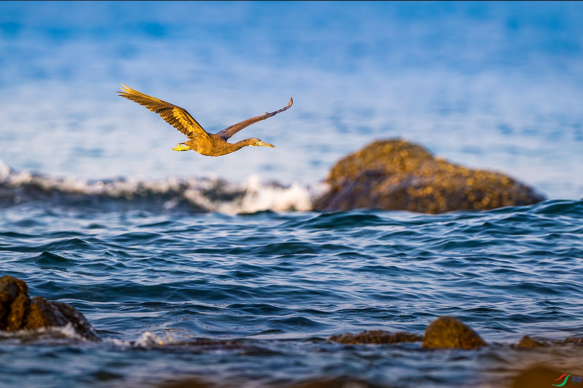 2_XXL6980-����ǿ-NR ����.jpg1.jpeg