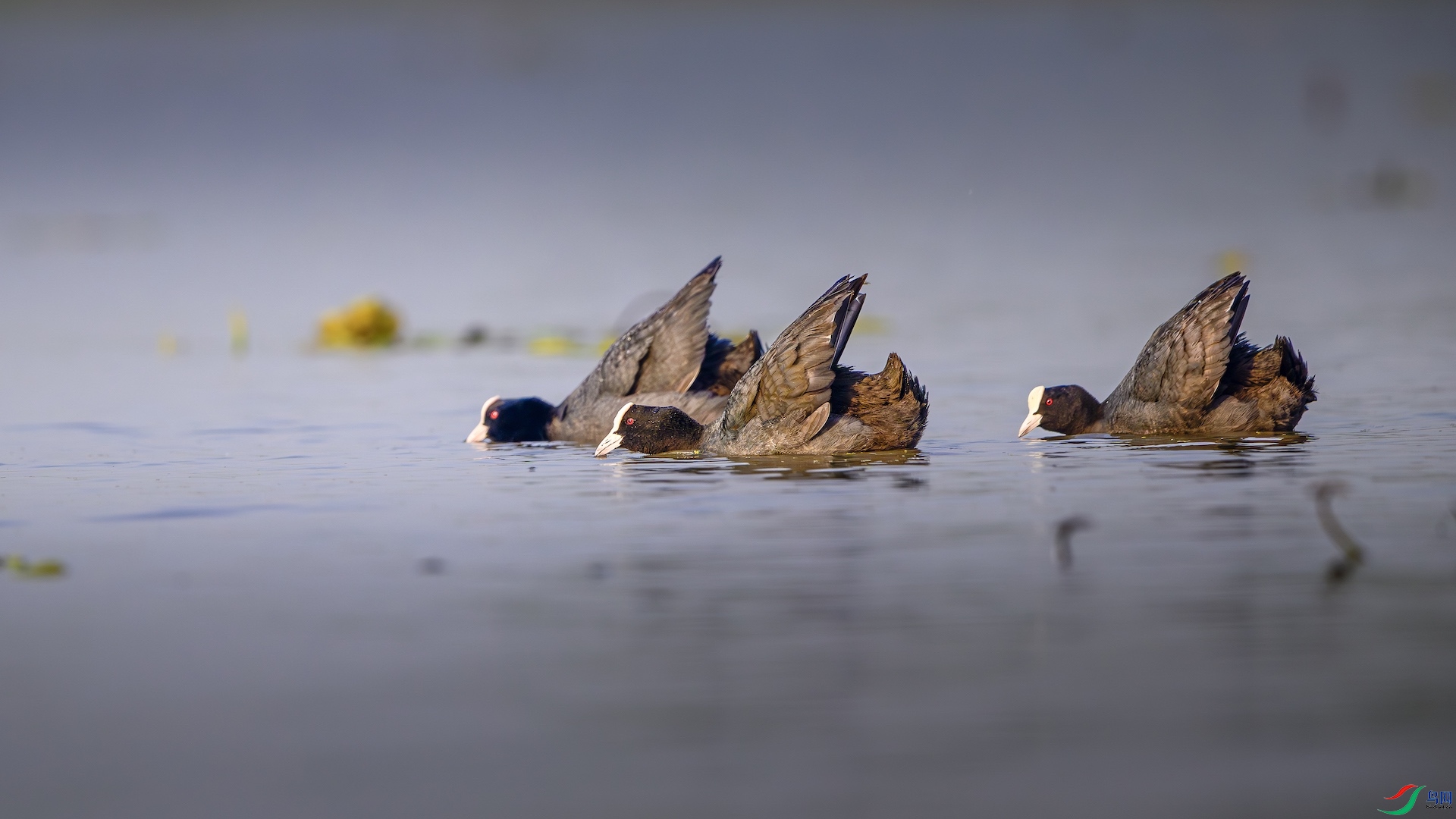 2_XXL7932-����ǿ-NR ����.jpeg