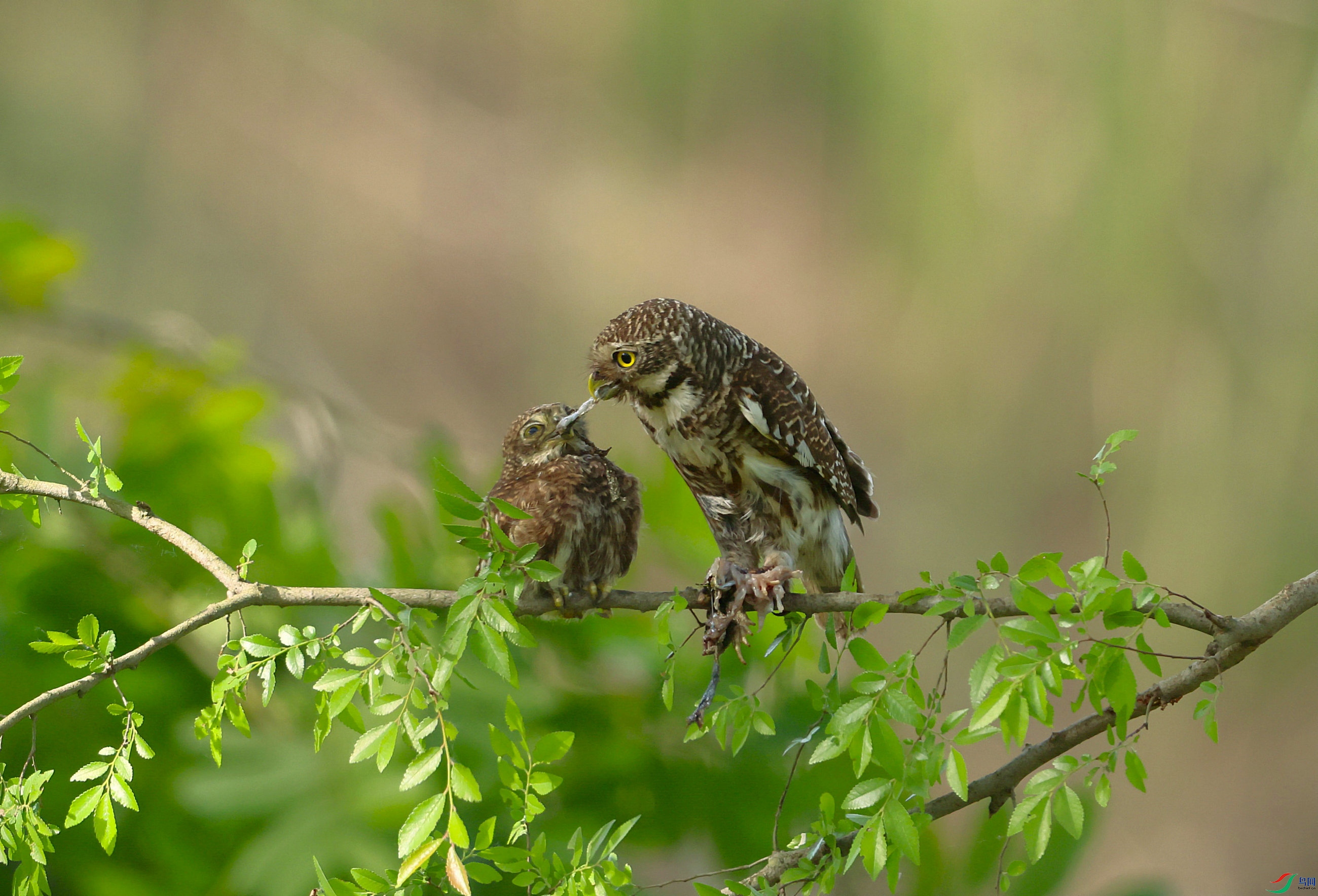 ��ͷ��m���� 2024-05-12 ������ˮ 3A8844_����1.JPG