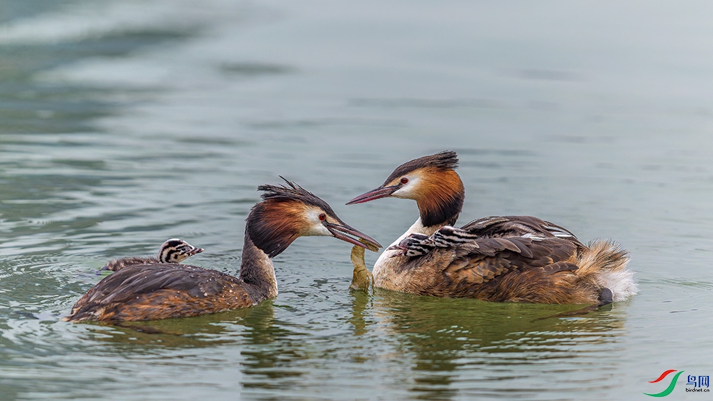 hnsqR240419 (1146)_DxO.jpg