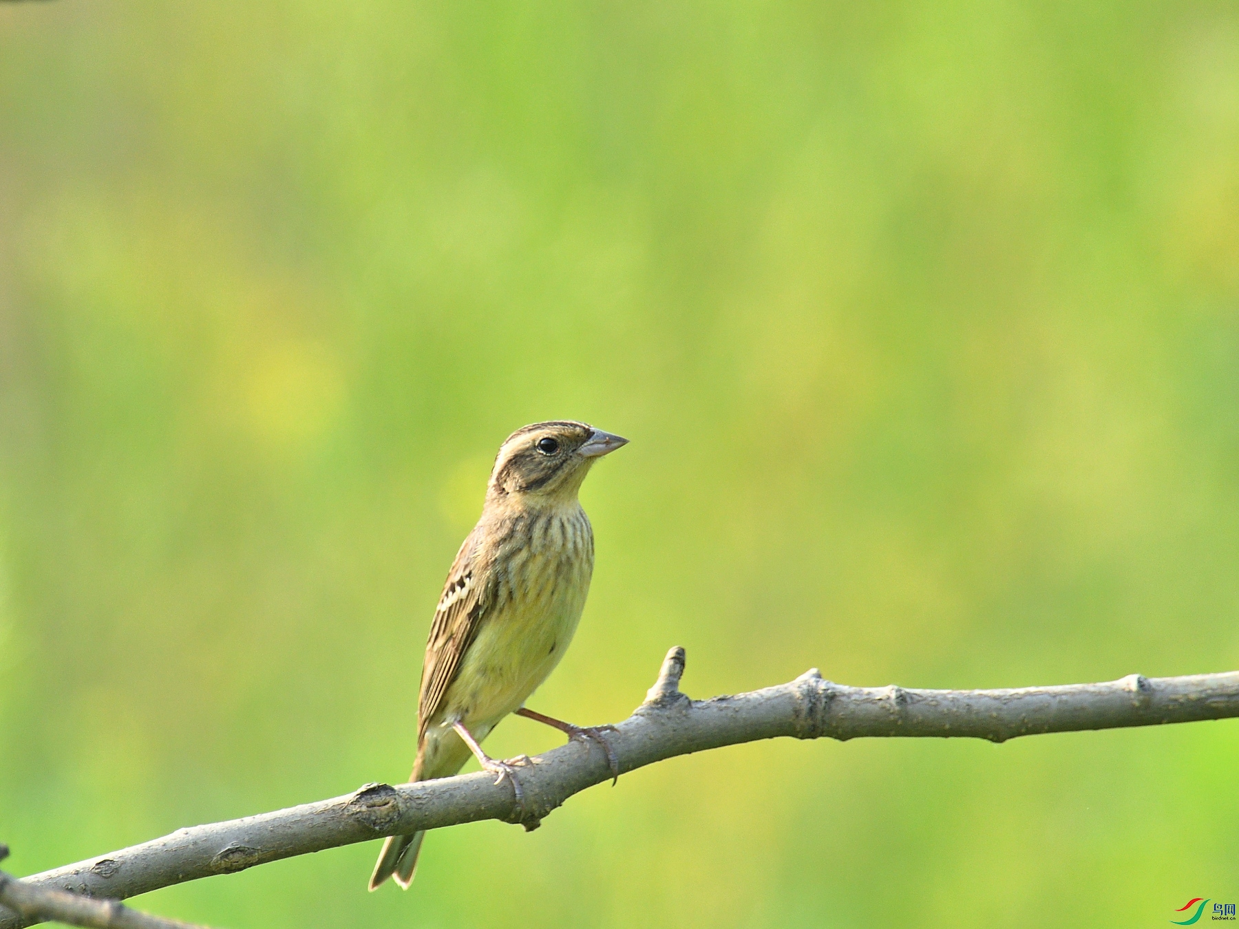 DSC_0632.JPG