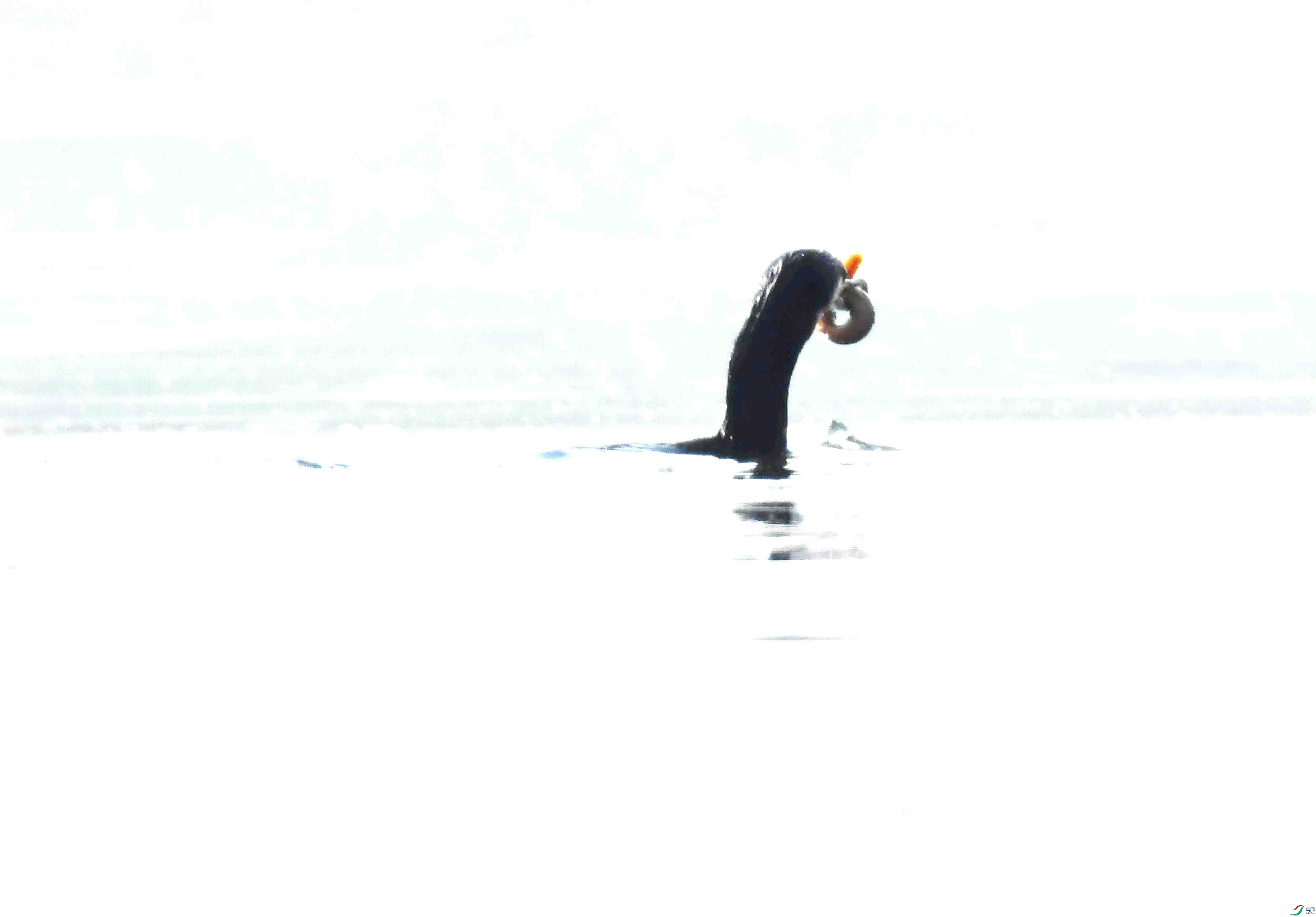 DSC_1027.JPG