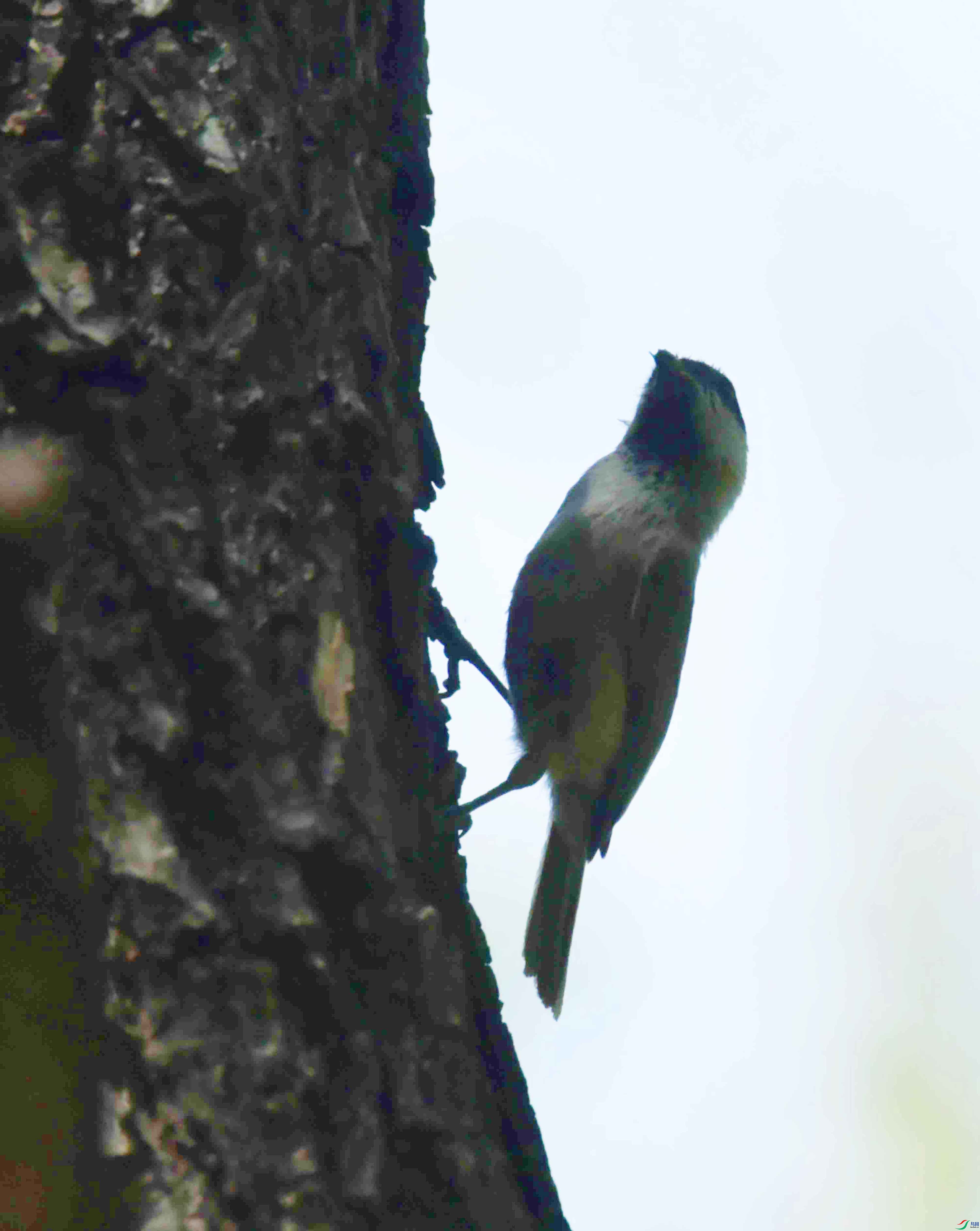 DSC_1606.JPG