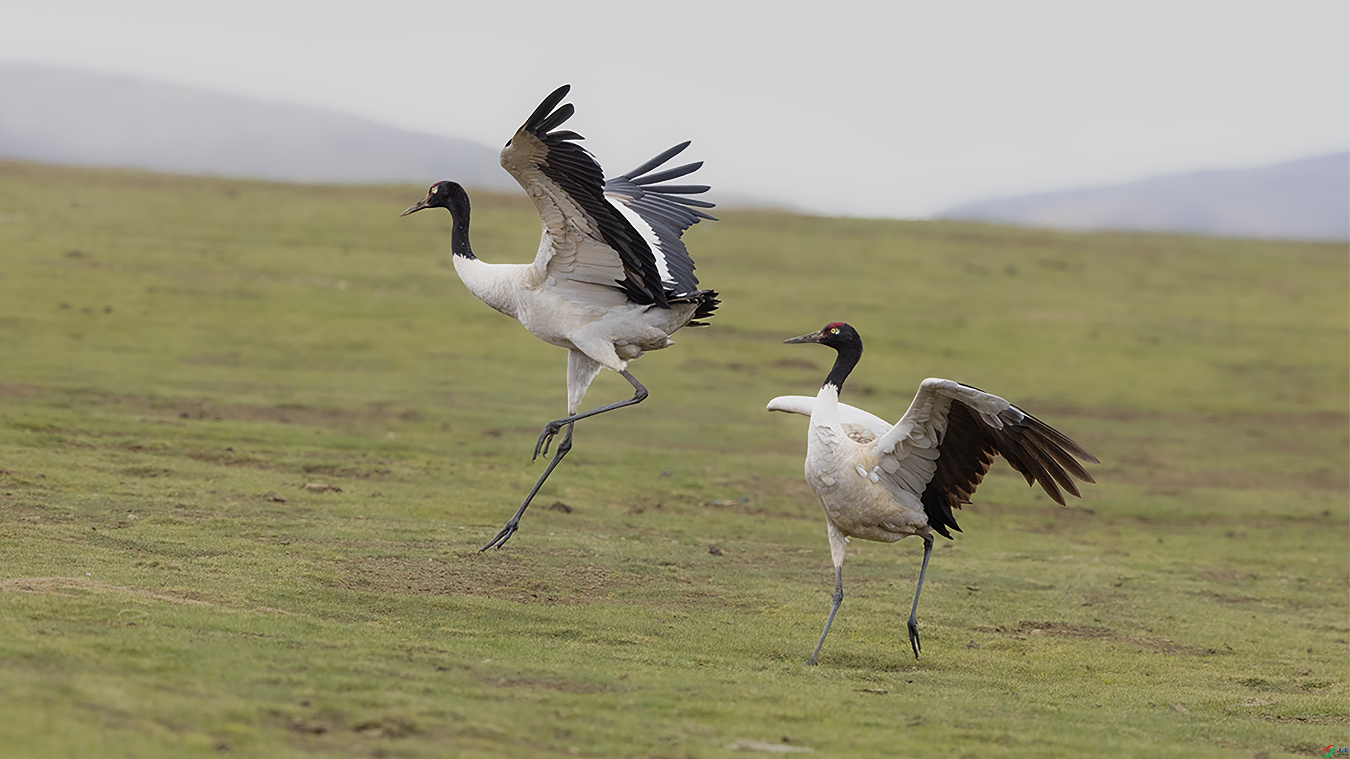 7X5A8170 ����.jpg