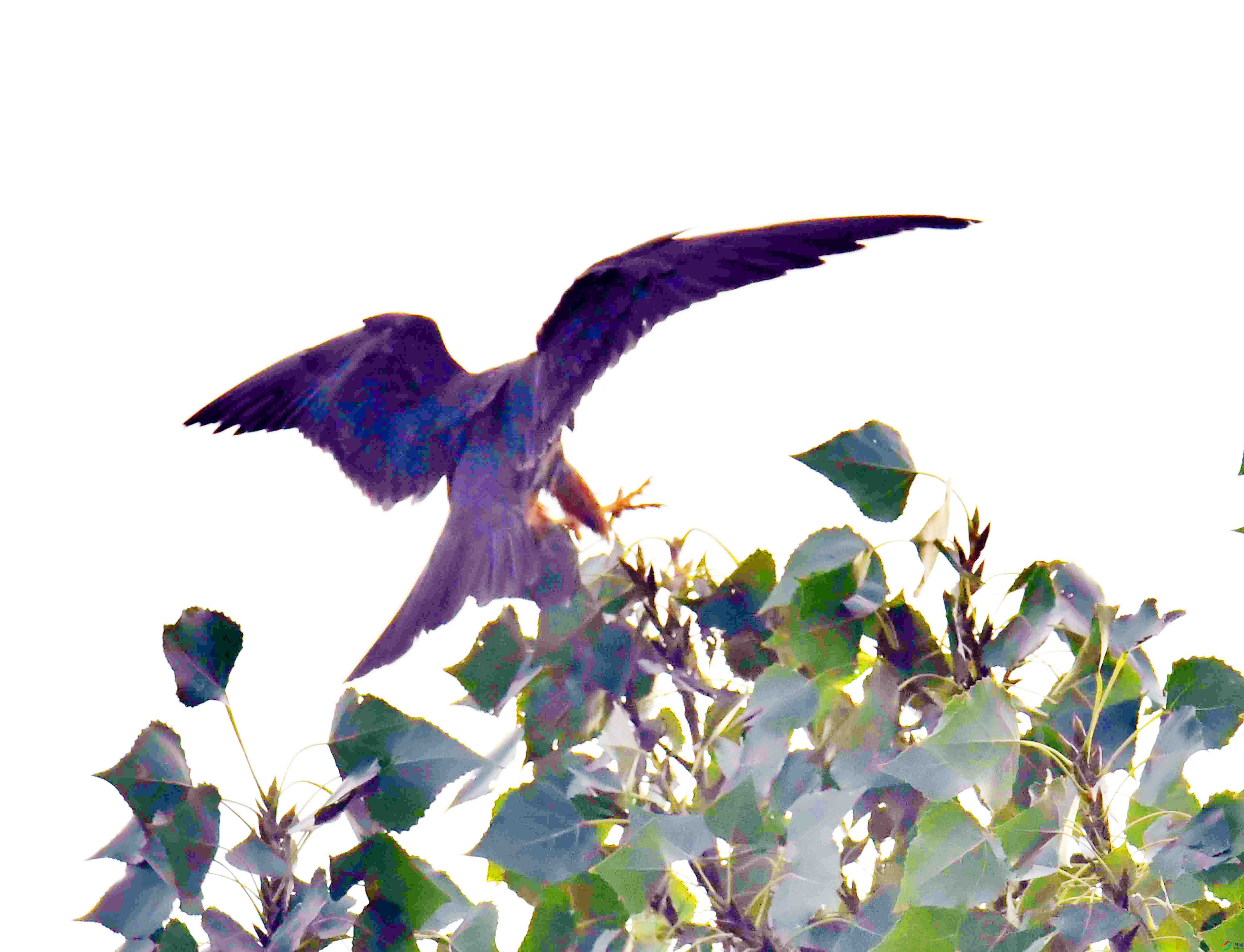 DSC_5109.JPG