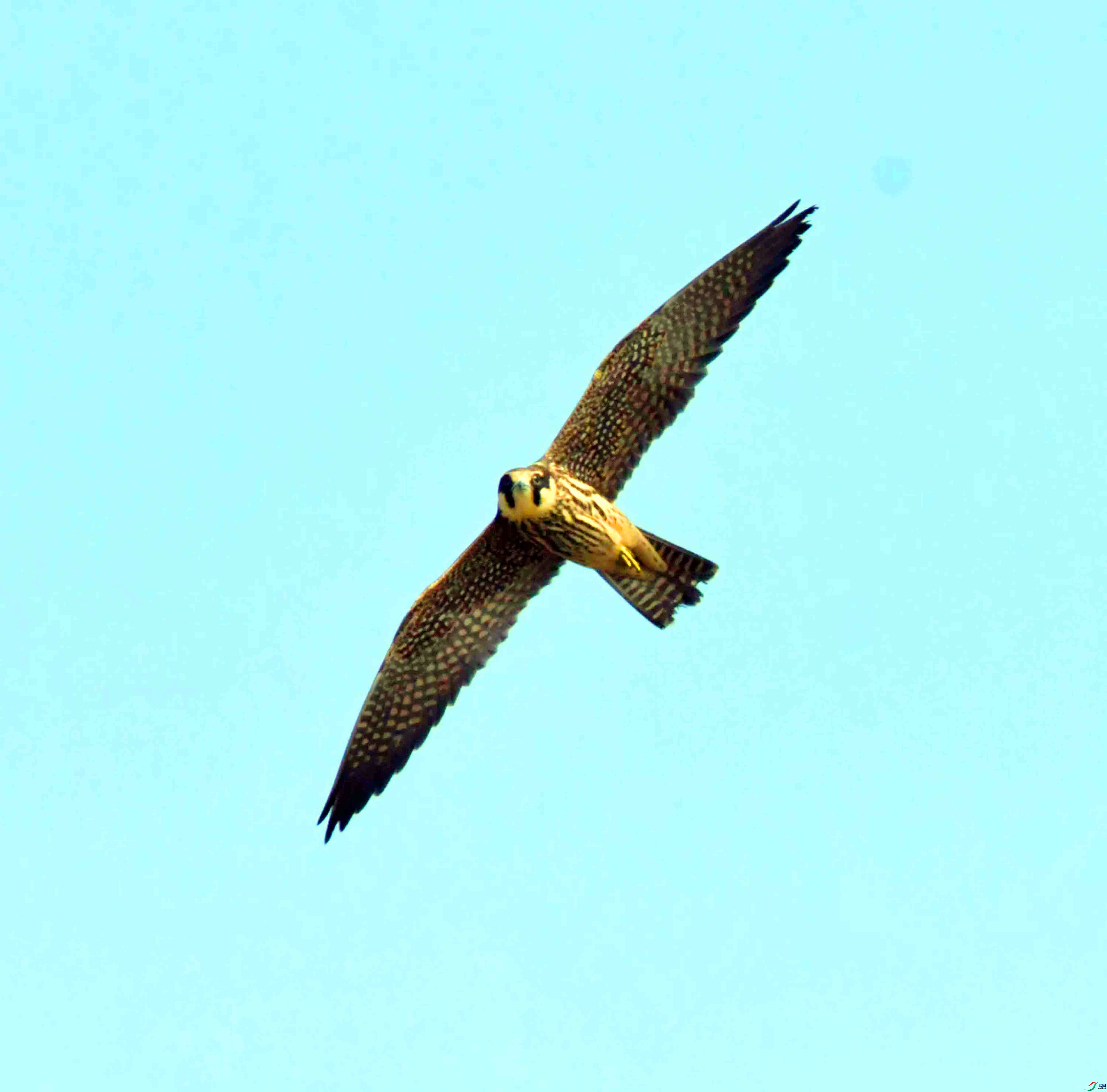 DSC_7301.JPG