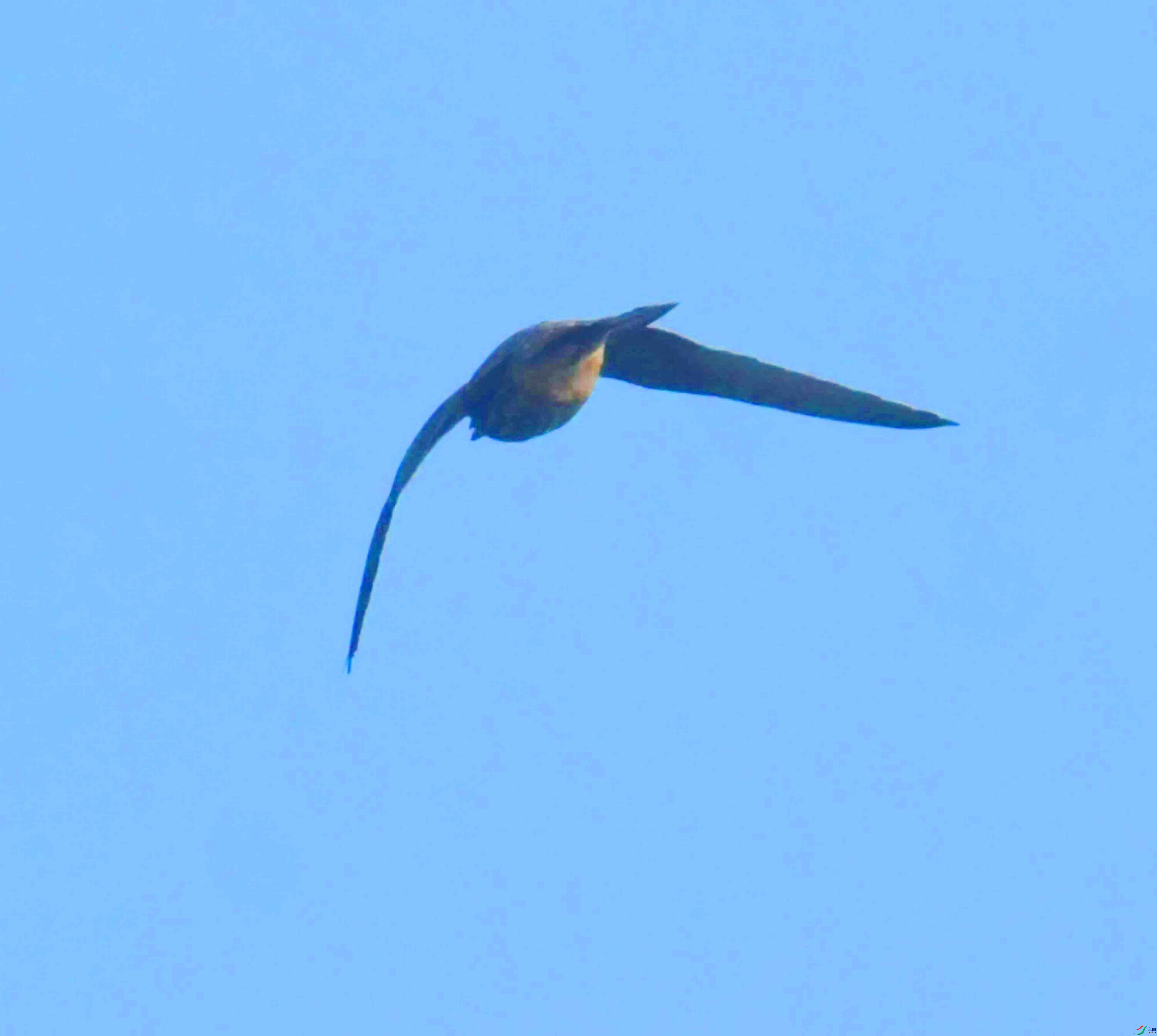 DSC_7322.JPG