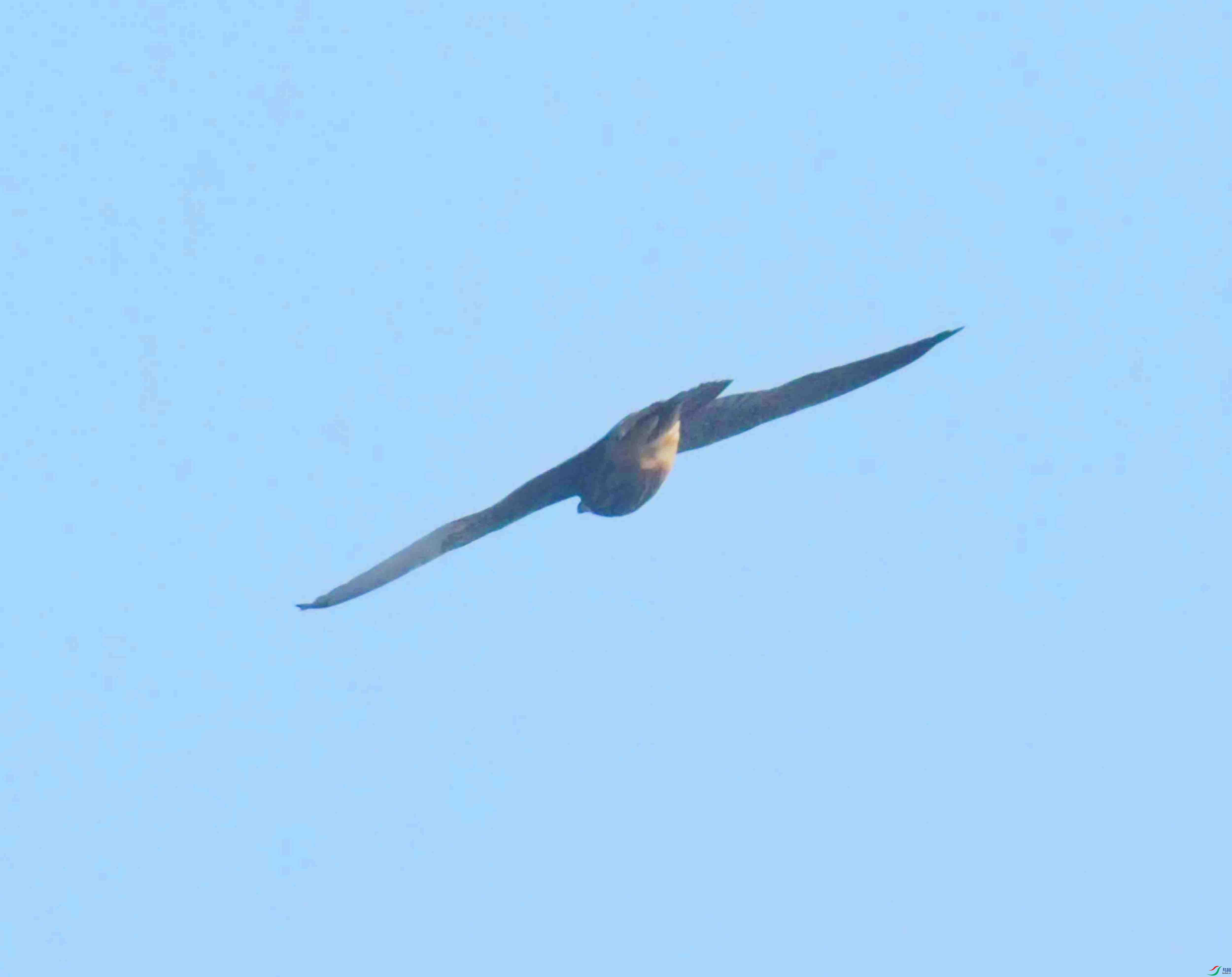 DSC_7323.JPG