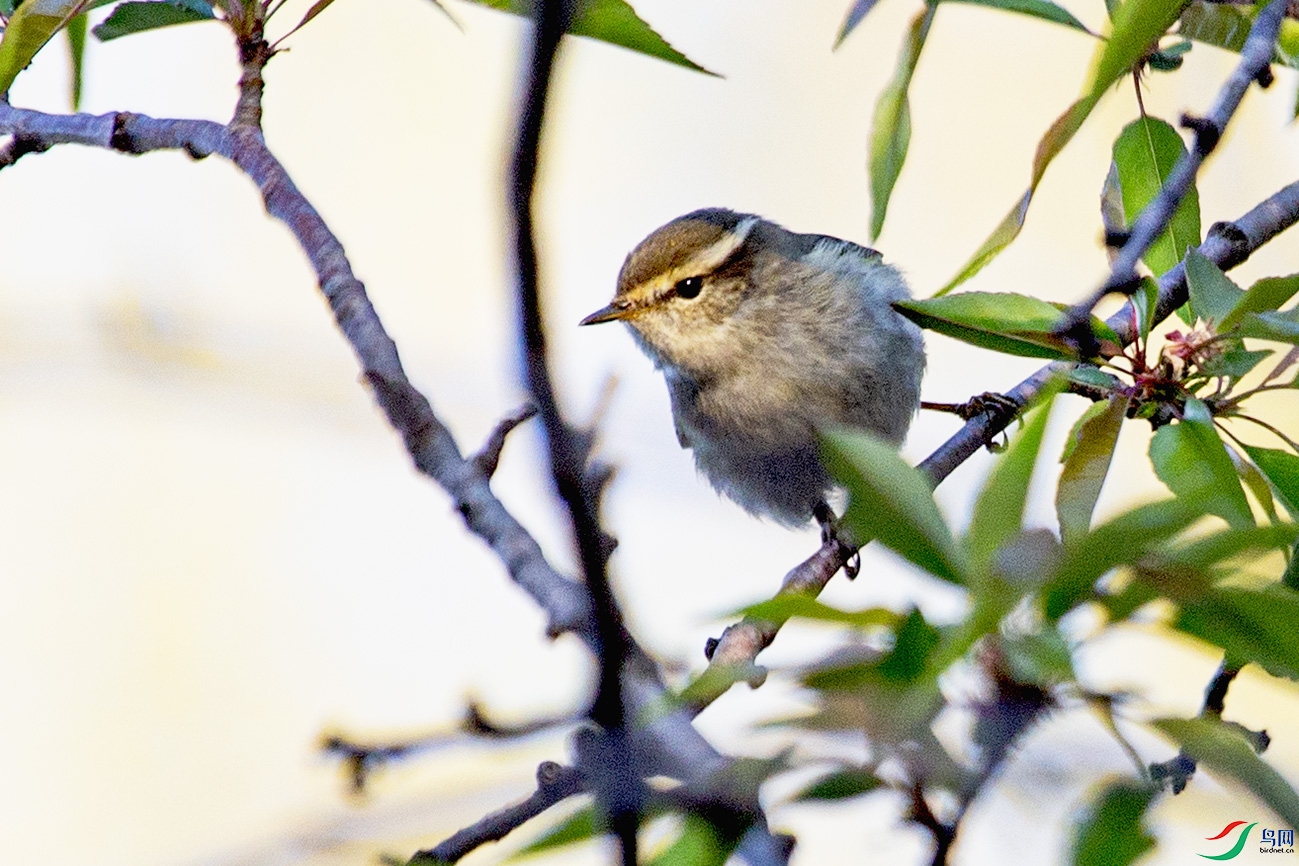 _MG_0458 ����.jpg