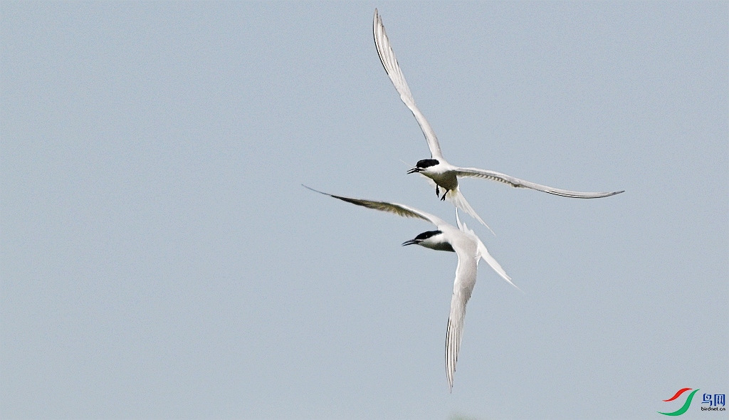 DSC_3206.JPG