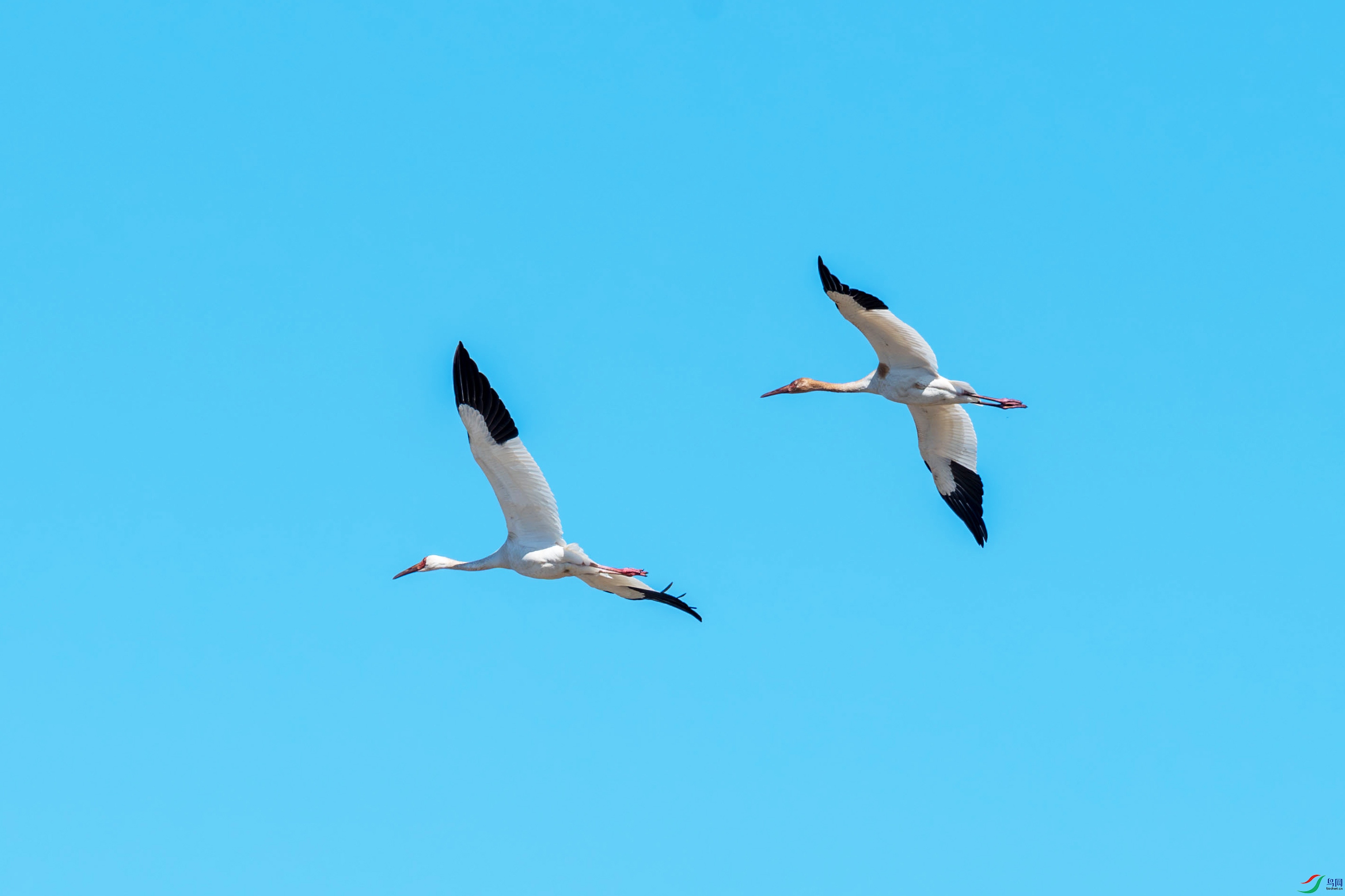 DSC_9138.jpg