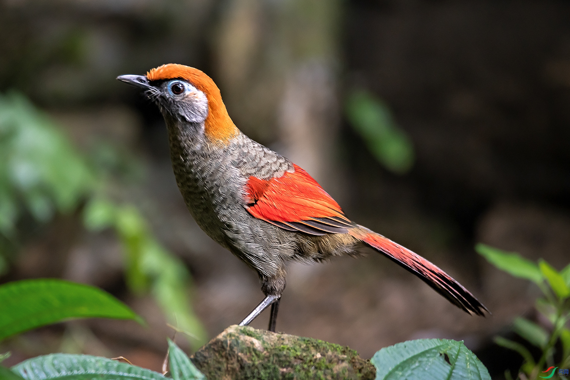 DSC_4175a ����.jpg