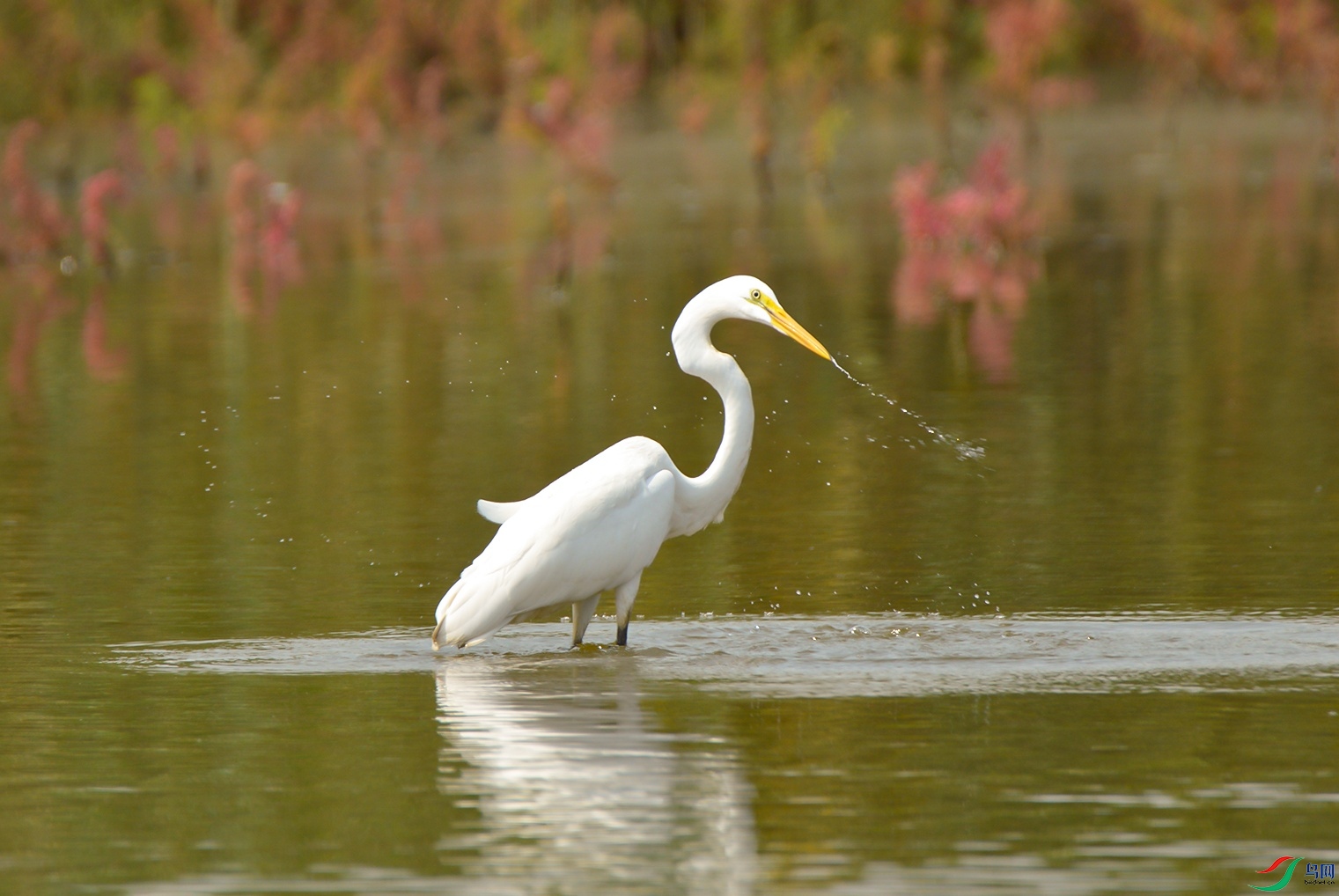 DSC_0548f.jpg