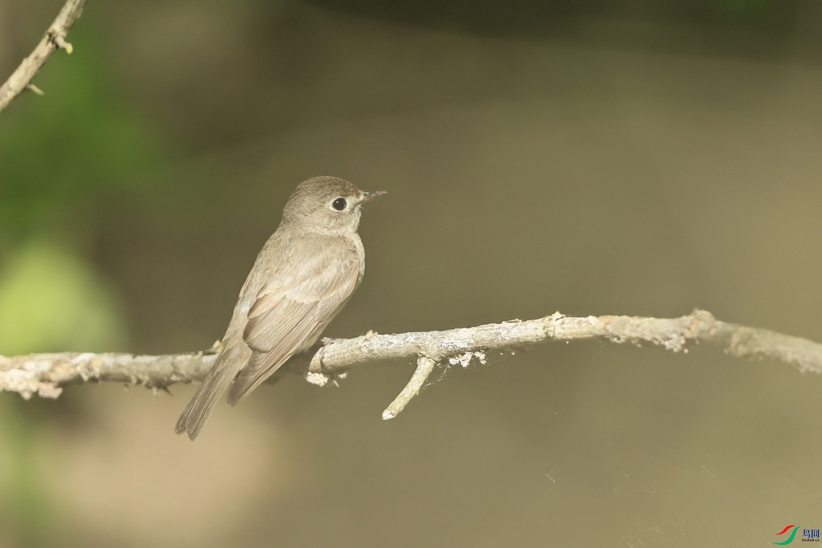 �l ������ _98A9294.jpg