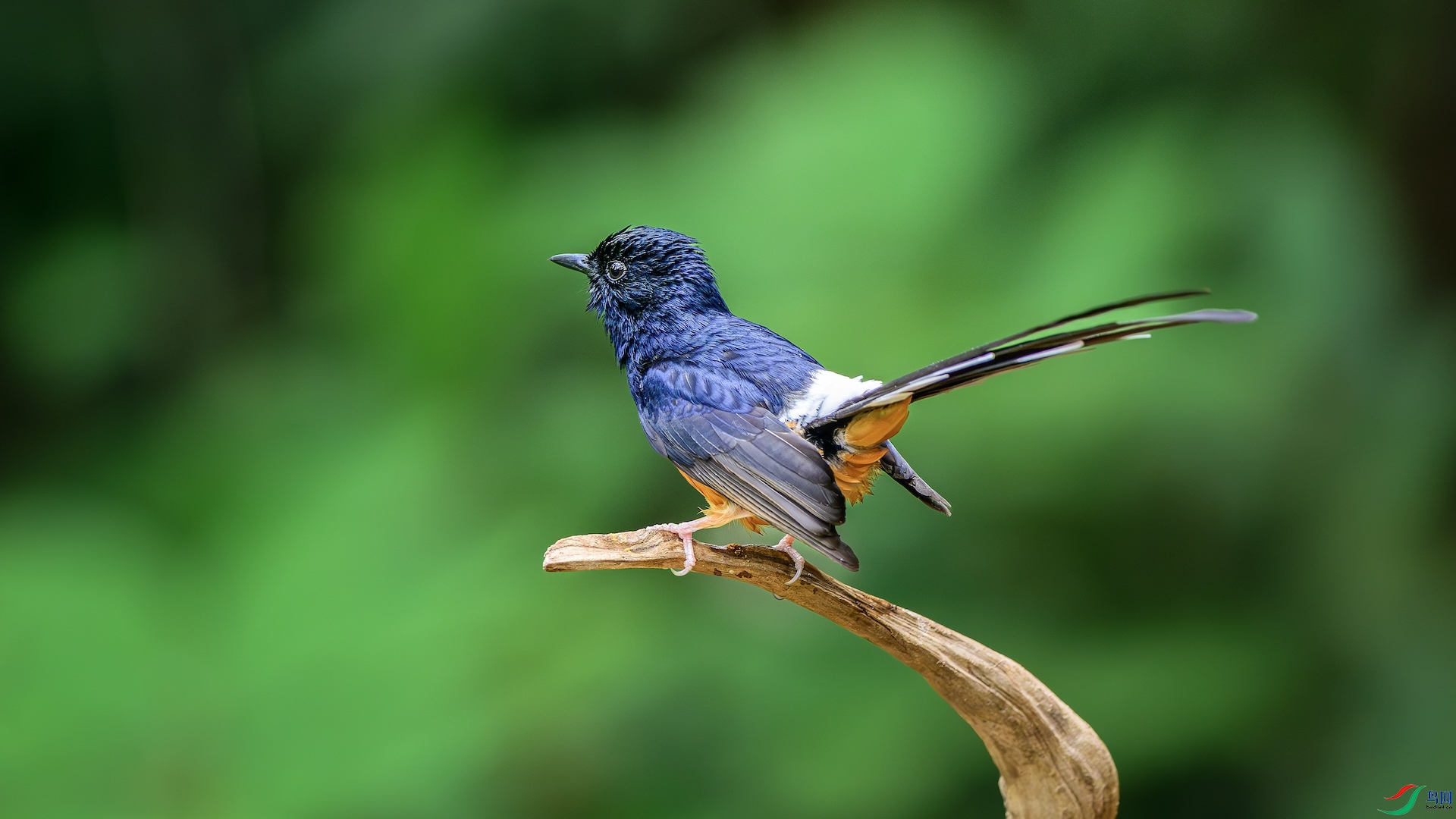 2_XXL6371-����ǿ-NR ����.jpeg