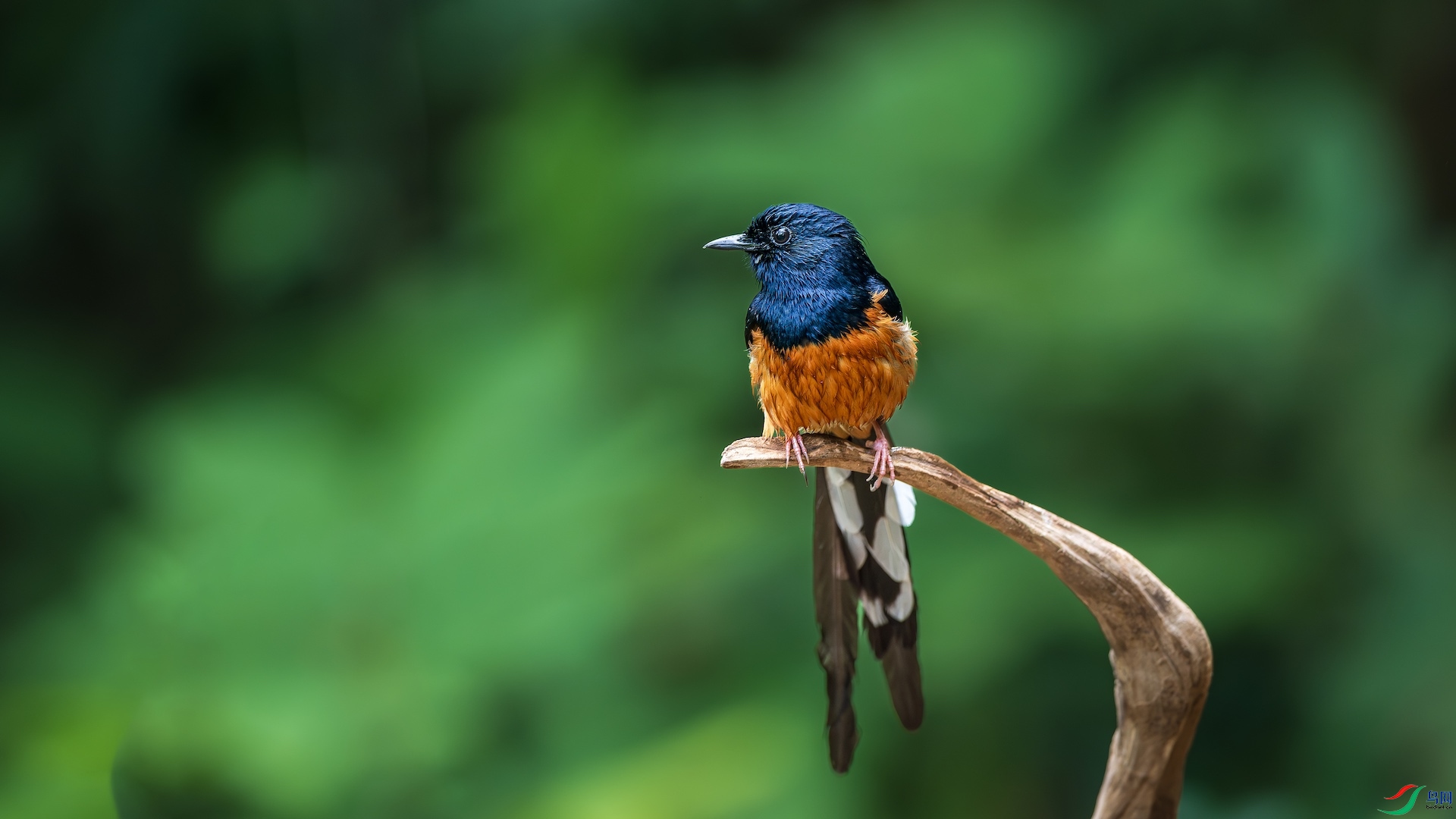 2_XXL6420-����ǿ-NR ����.jpeg