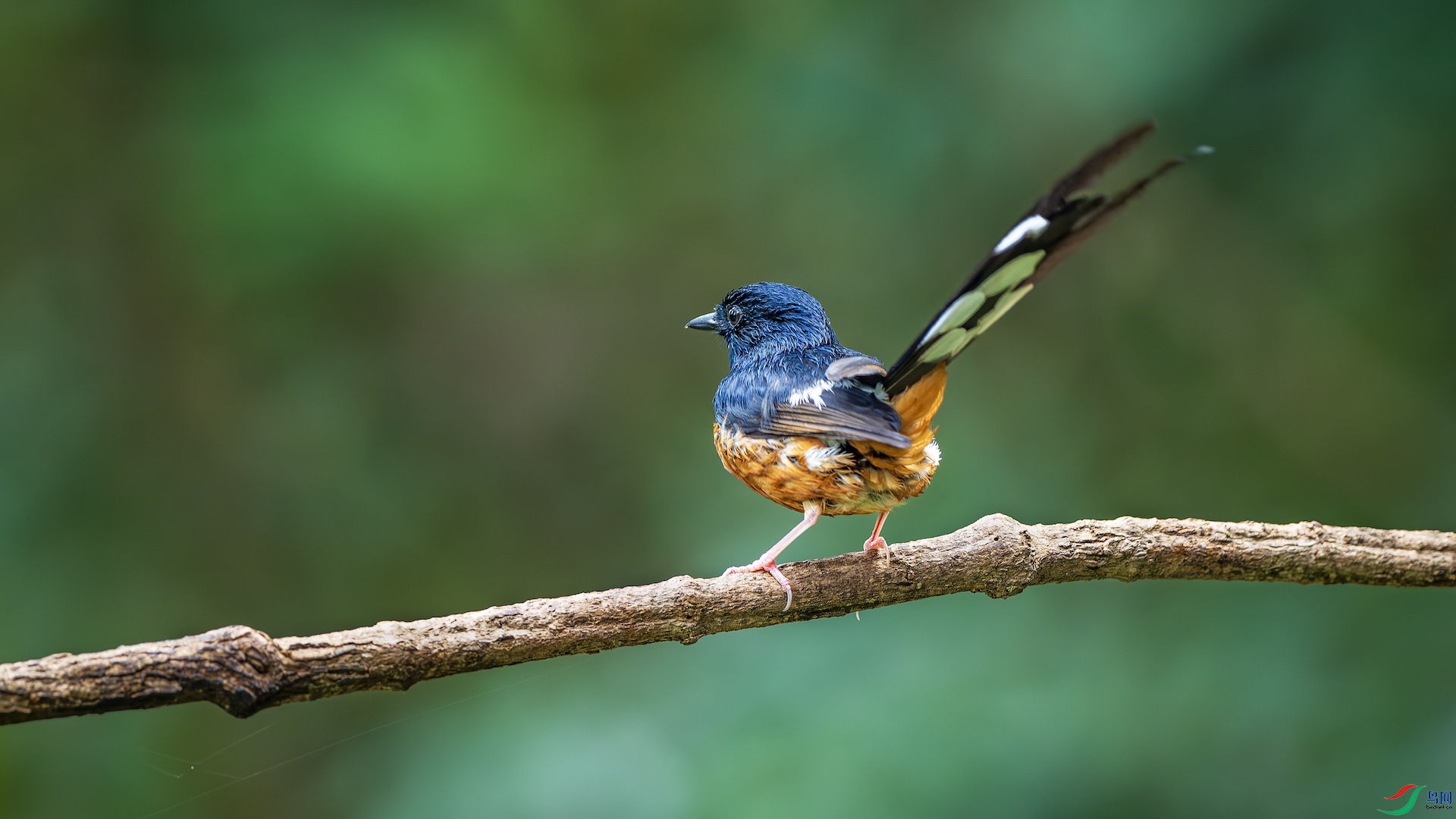 2_XXL6436-����ǿ-NR ����.jpeg