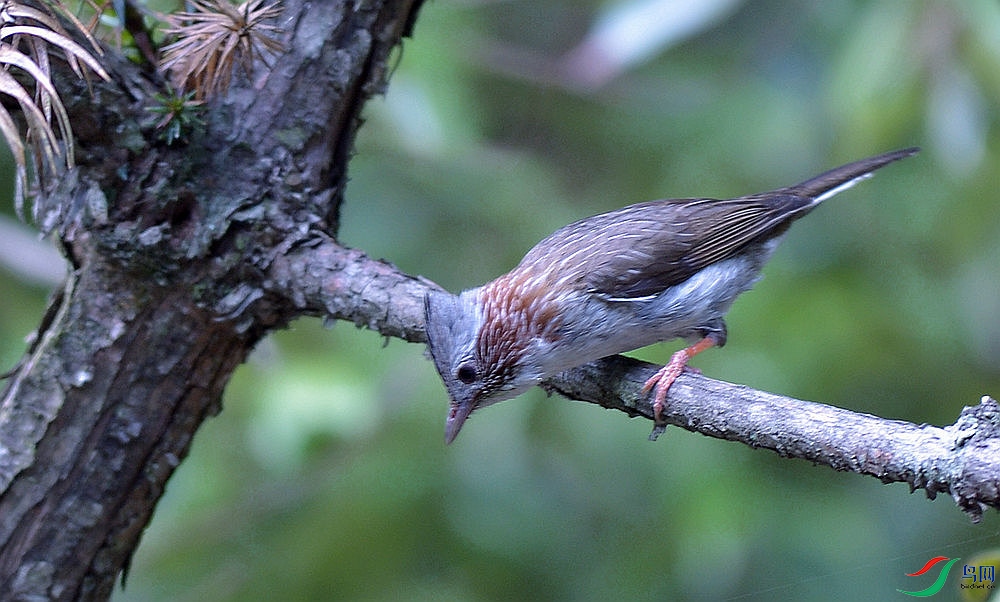 DSC_4174.JPG