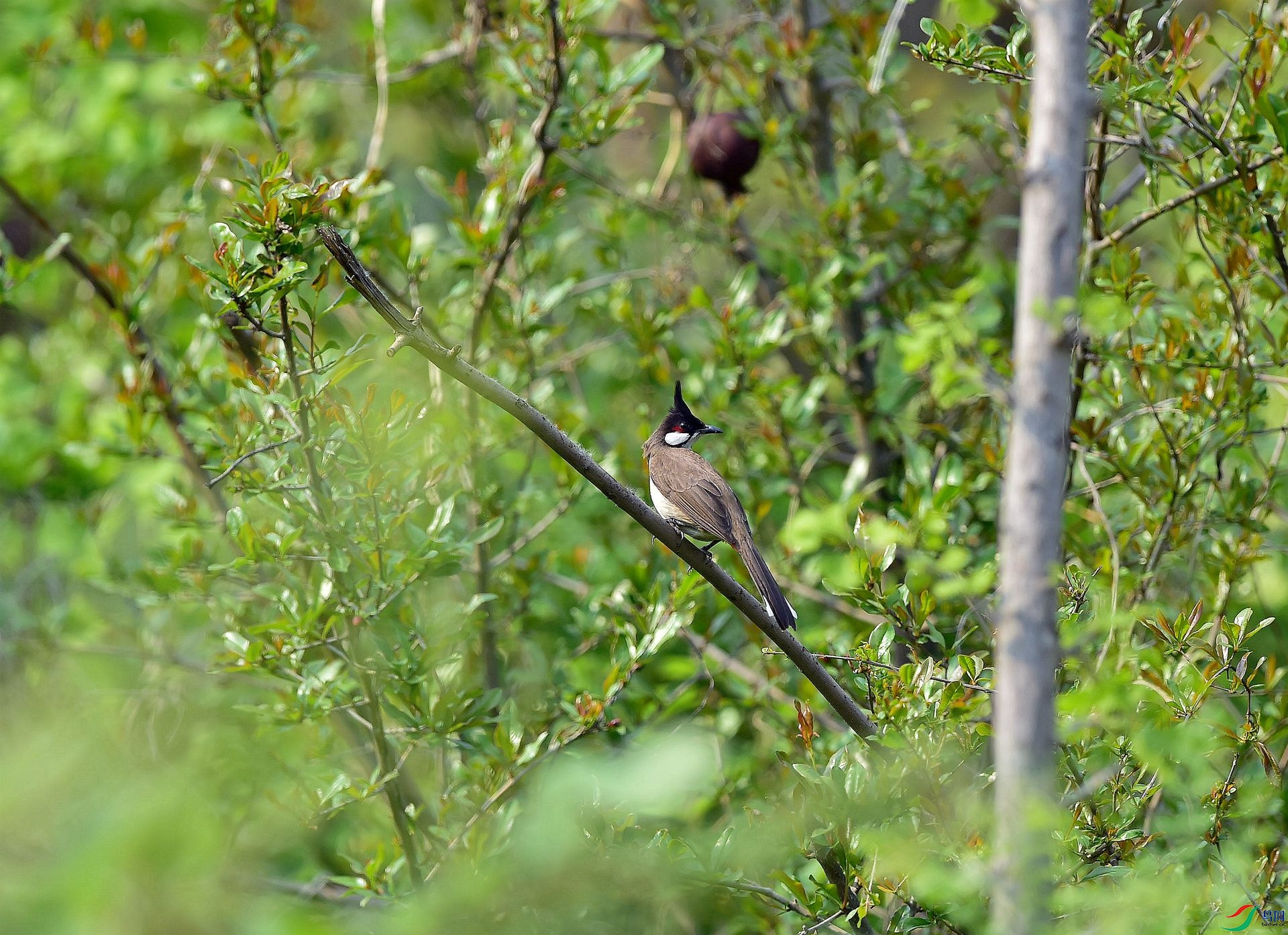 DSC_5032_����.jpg