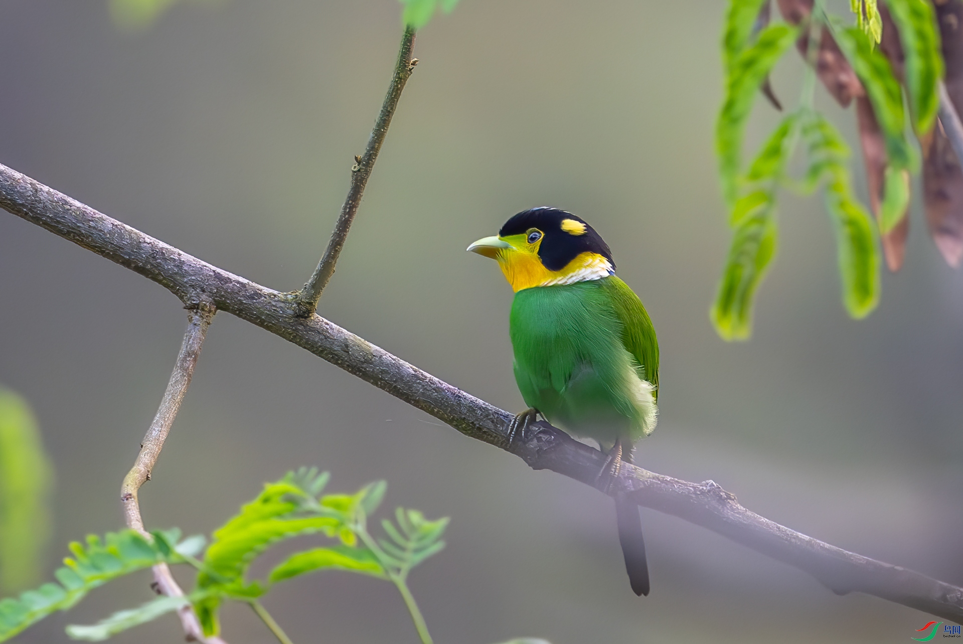 DSC_7995.jpg