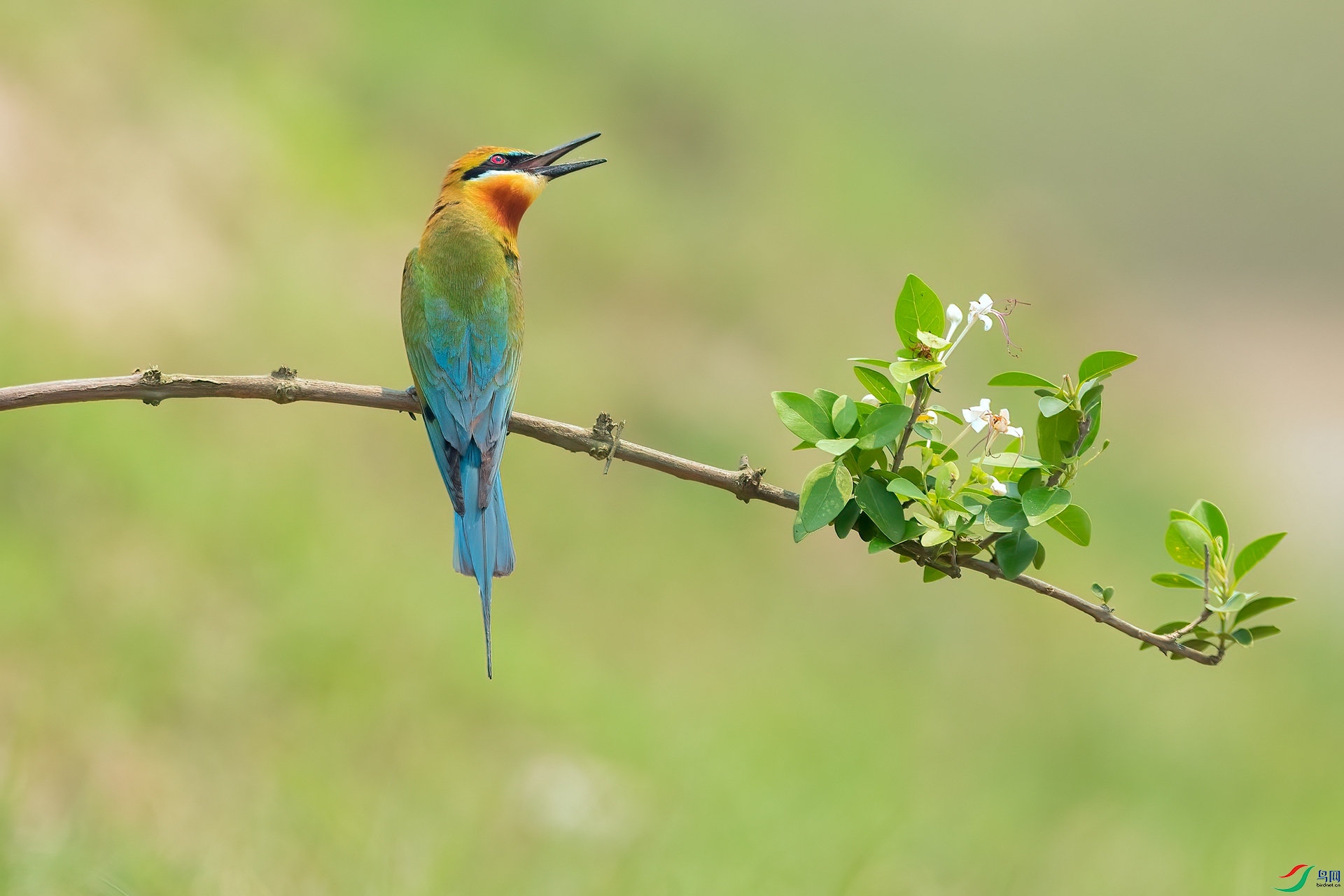 B86I1365 _����.jpg