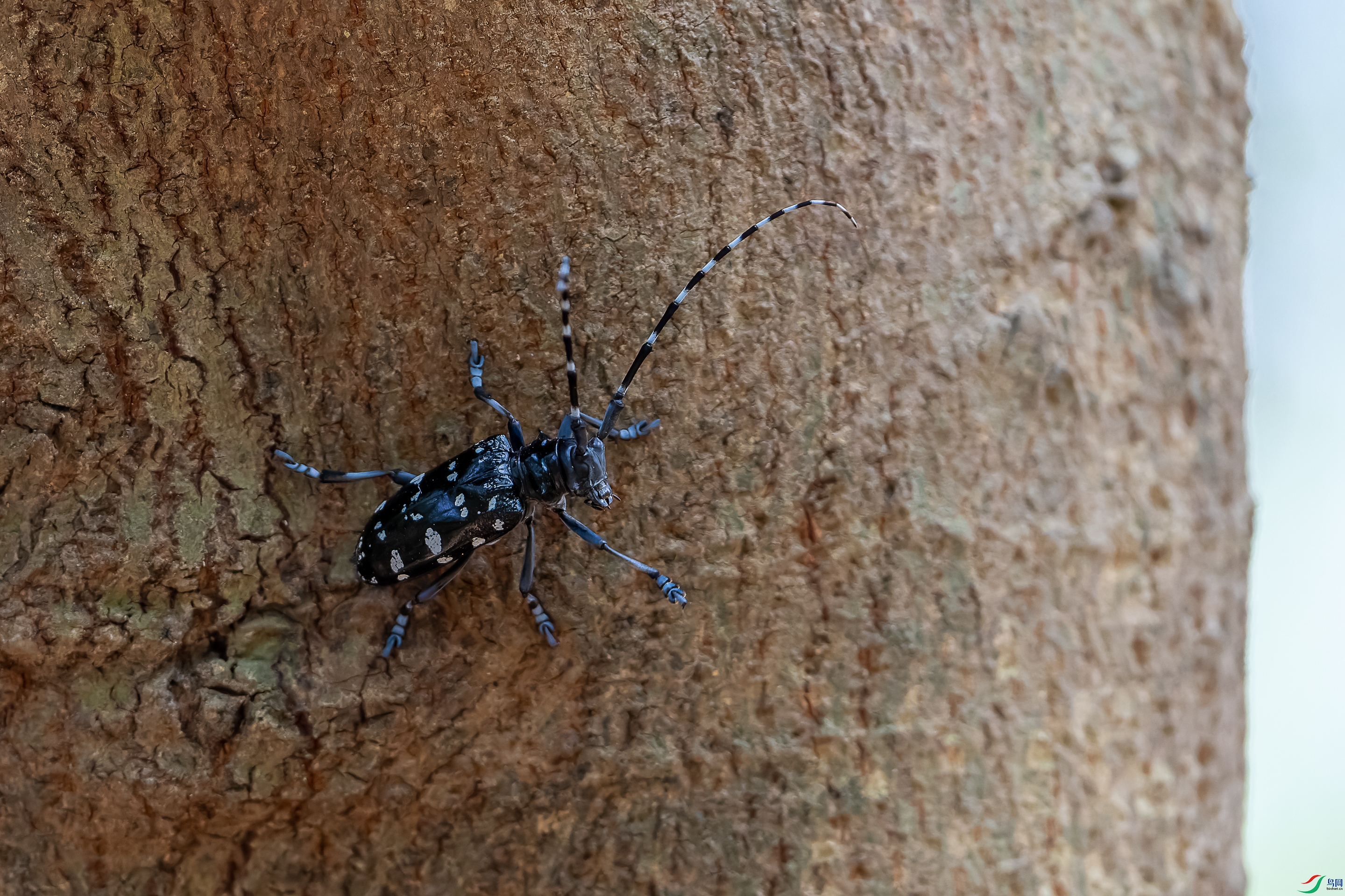 DSC01833-ARW_DxO_DeepPRIME.jpg
