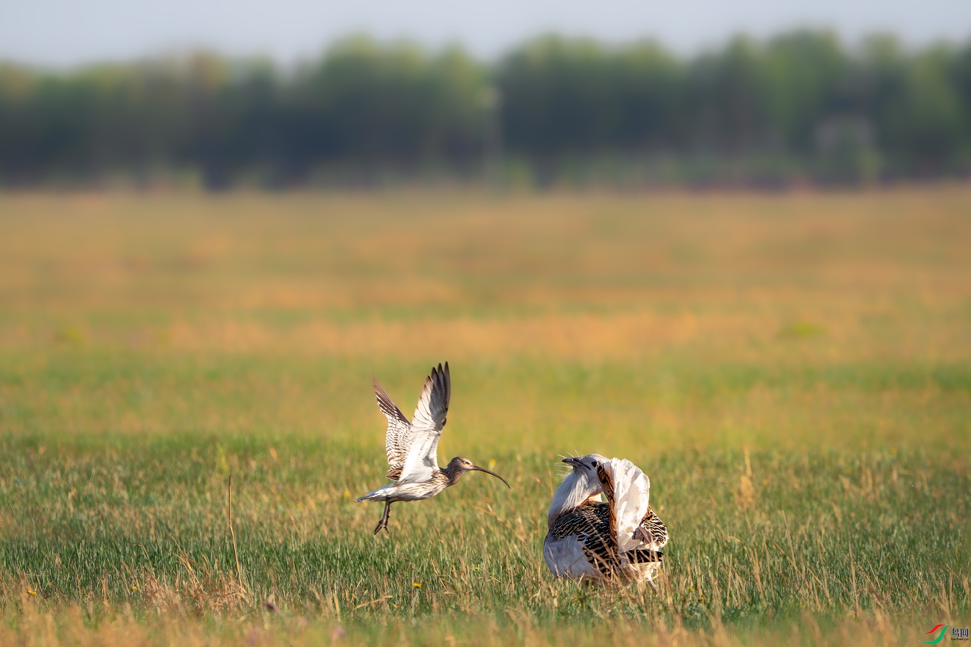 _DSC8229-����ǿ-NR ����.jpg