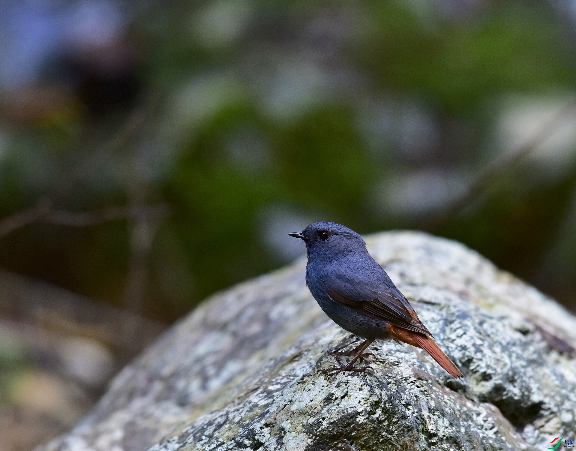 D8I_5985.jpg