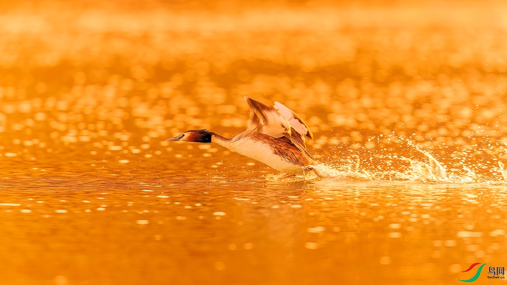 hnsq240319 (270)_DxO.jpg