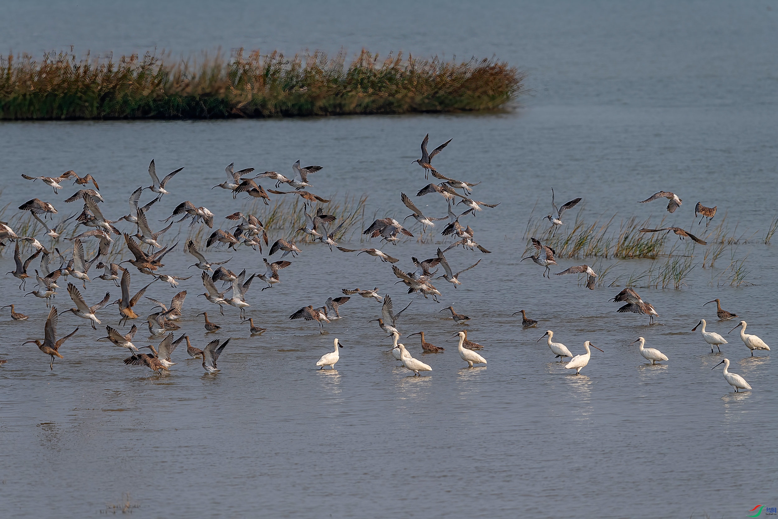 DSC_0783AB.jpg
