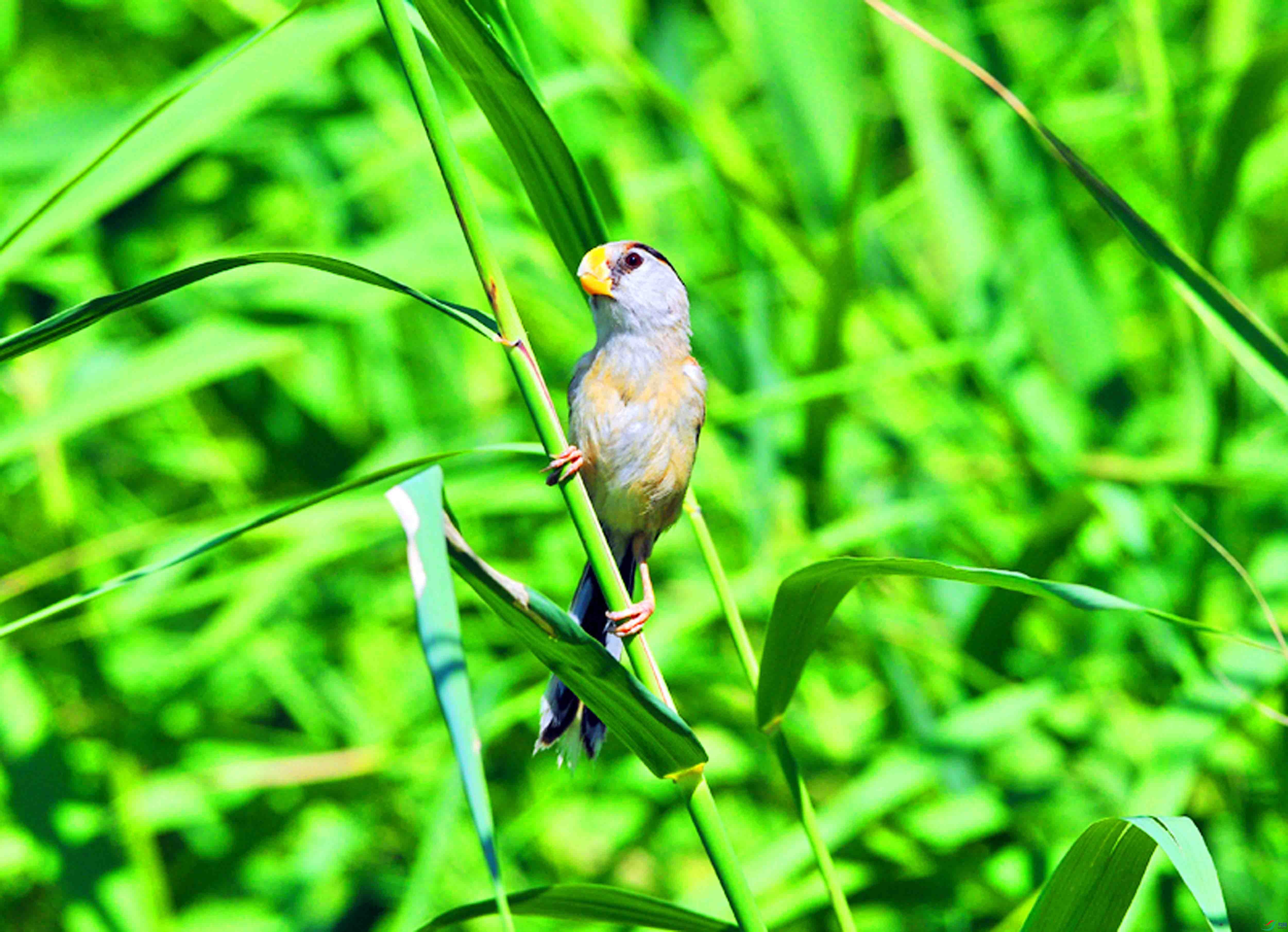 DSC_7836.JPG