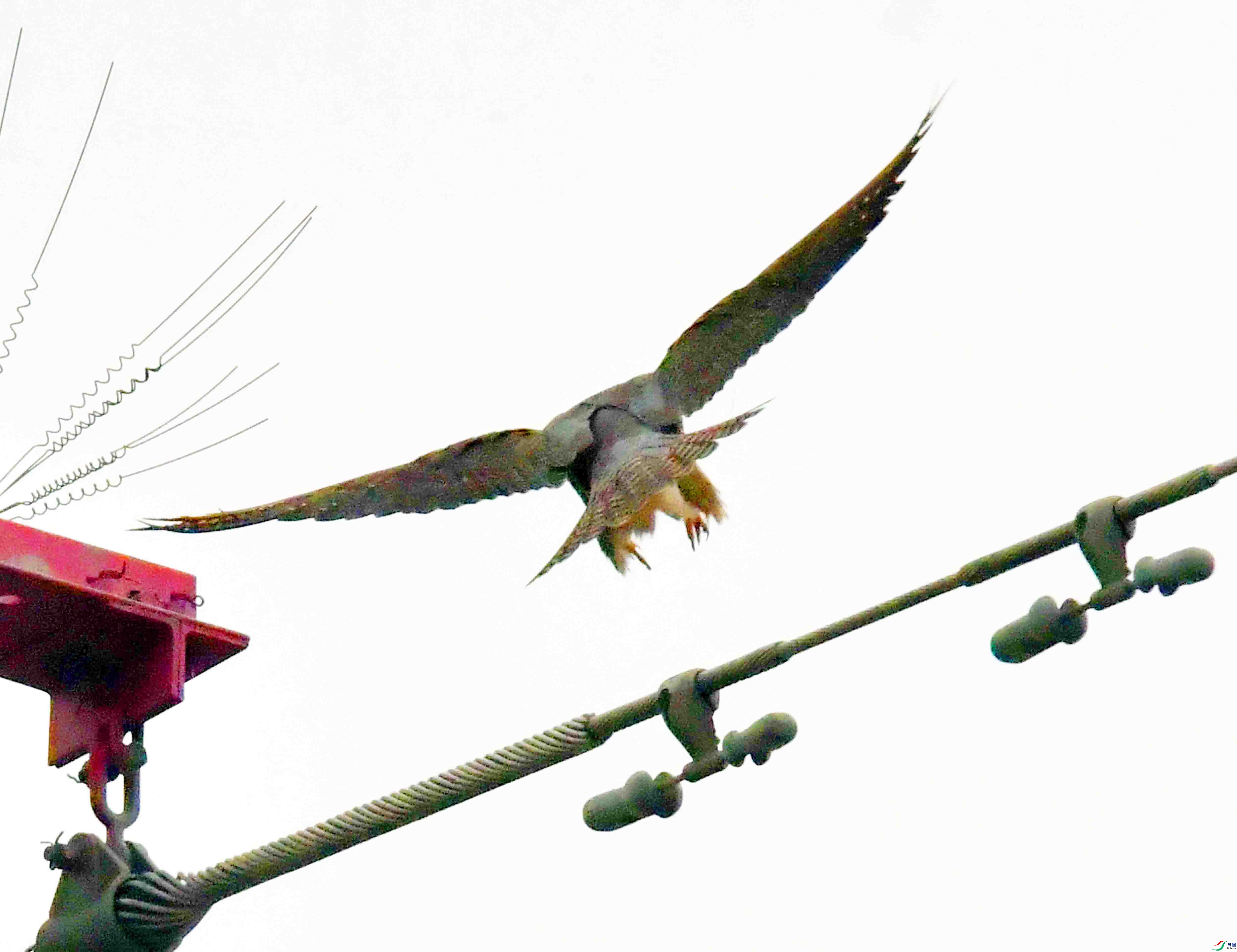 DSC_3984.JPG