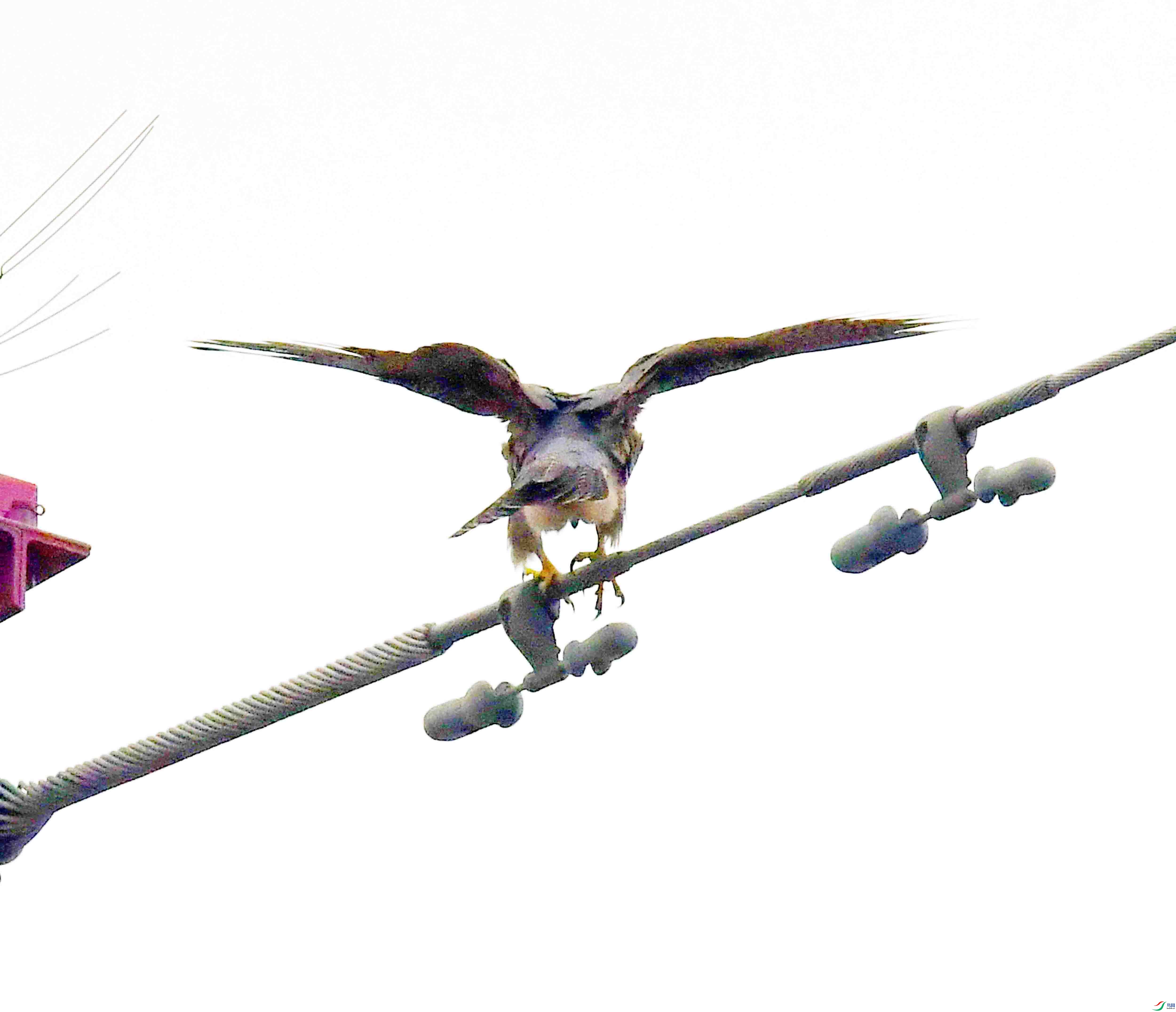 DSC_3985.JPG