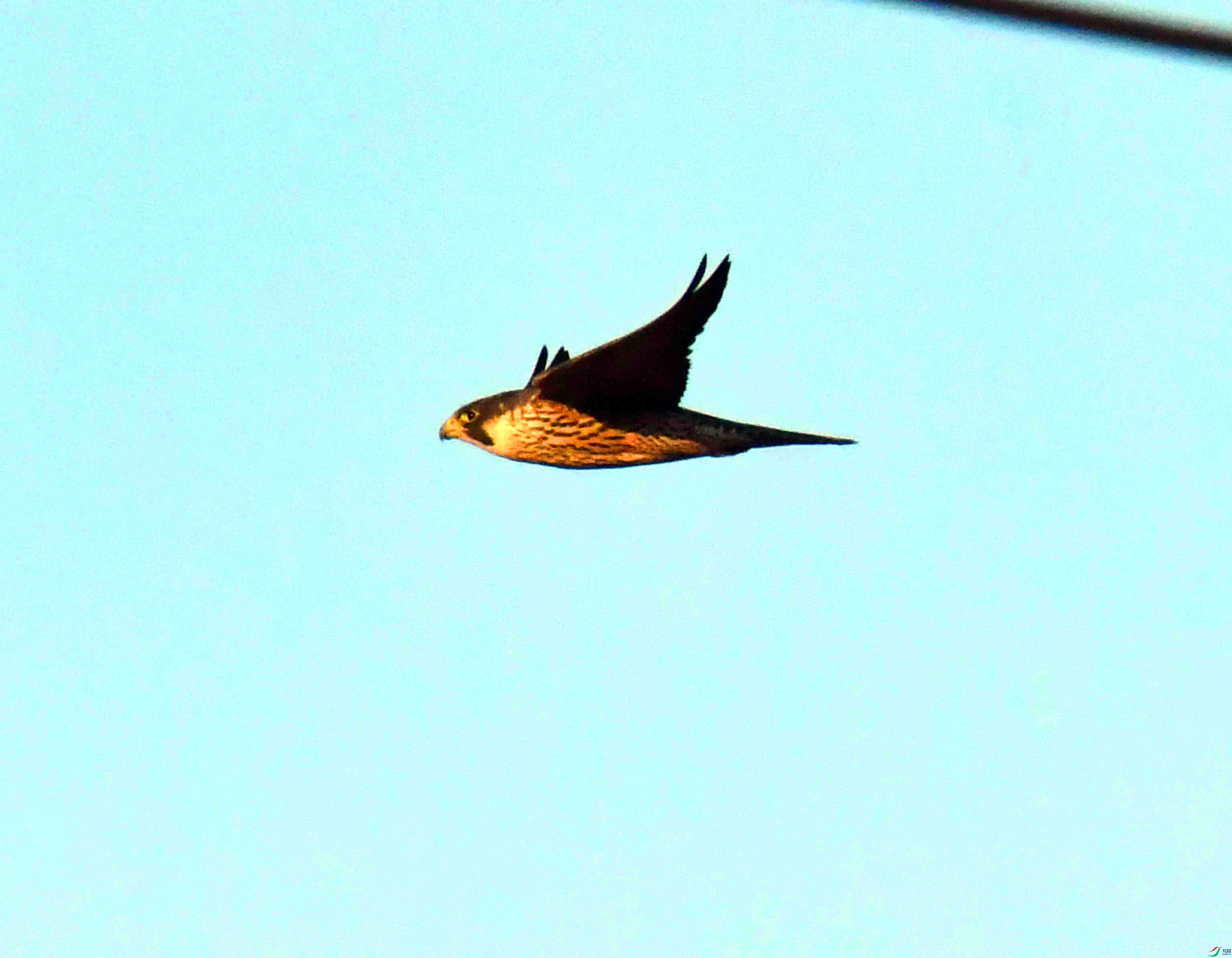 DSC_8931.JPG