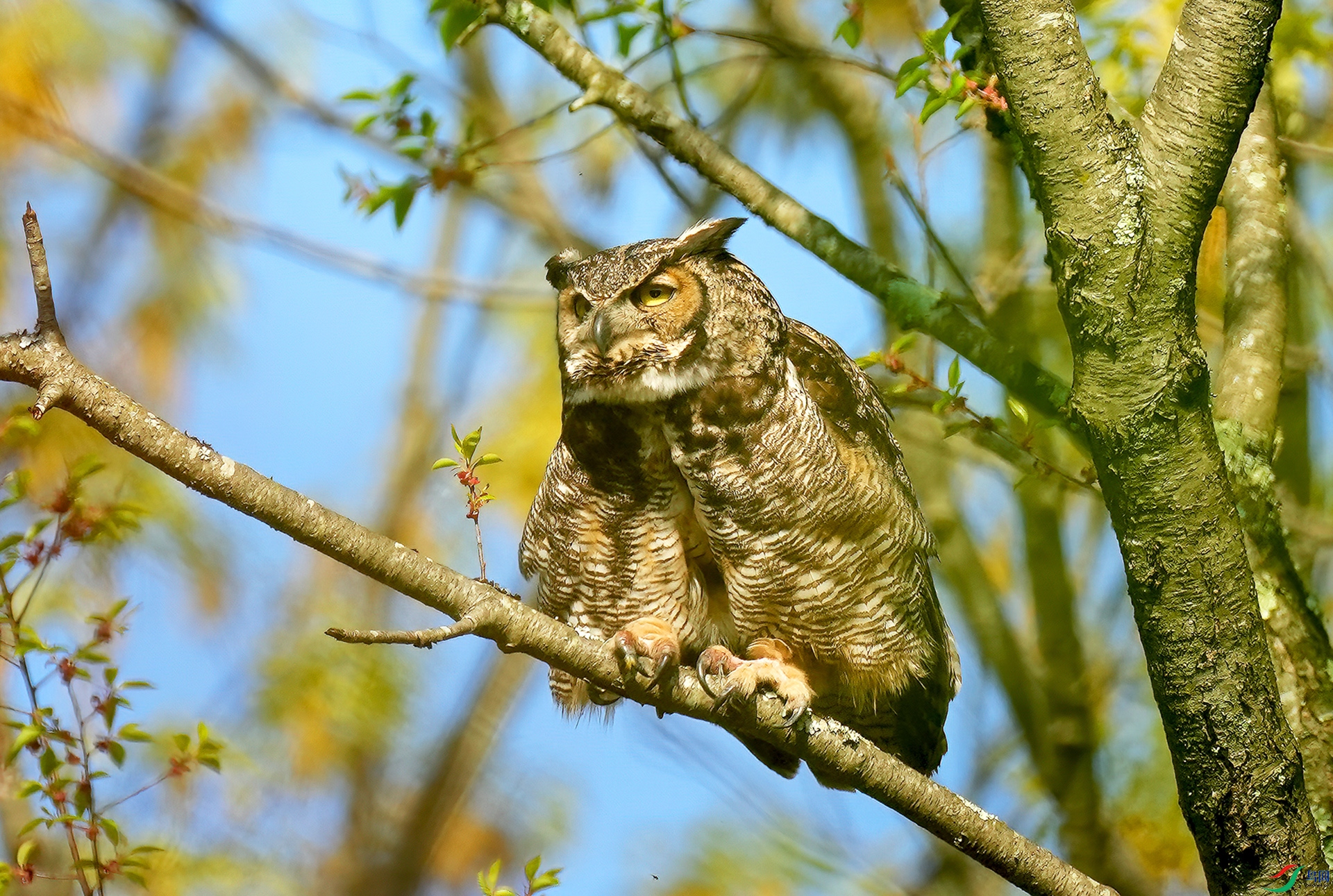 DSC05967--.jpg
