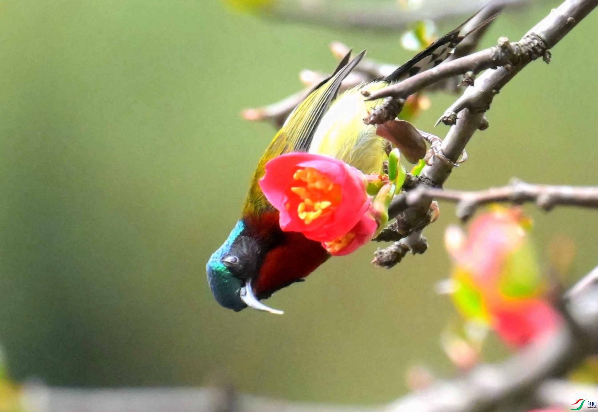 DSC_0805_����.jpg