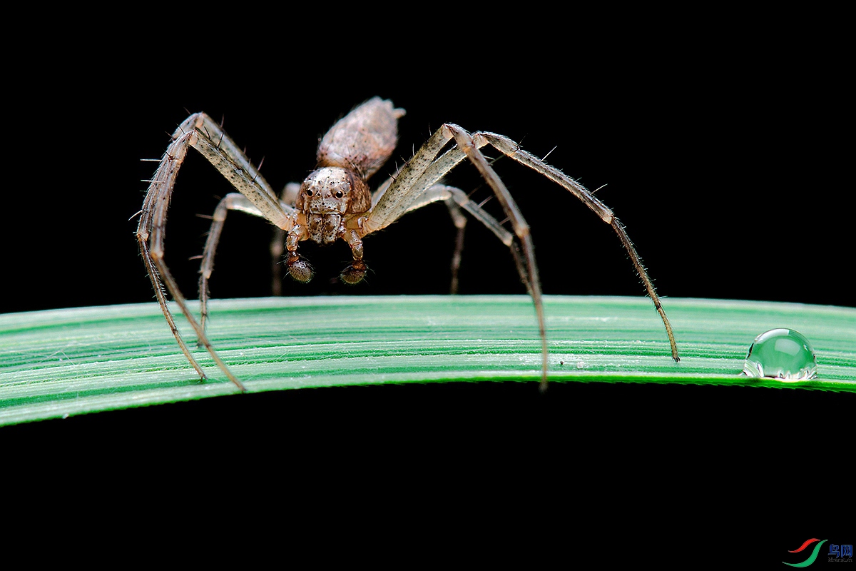 DSC_6317.jpg