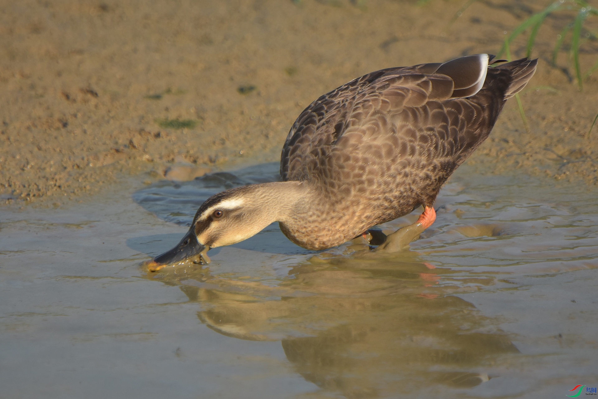 D72_4822.jpg