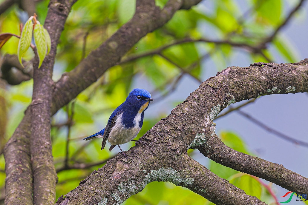 DSC_2266_DxO.jpg