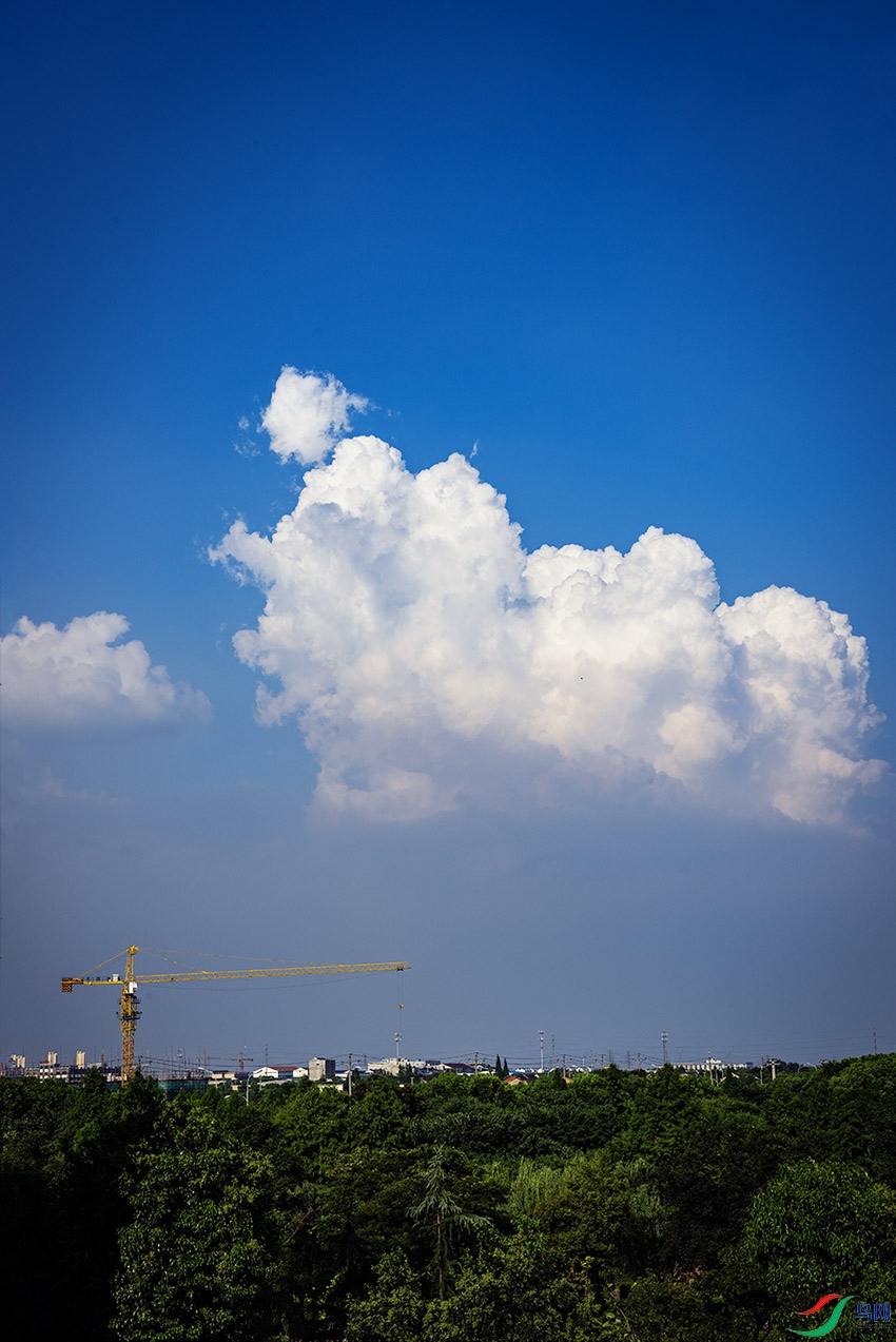 _DSC6520 ����.jpg