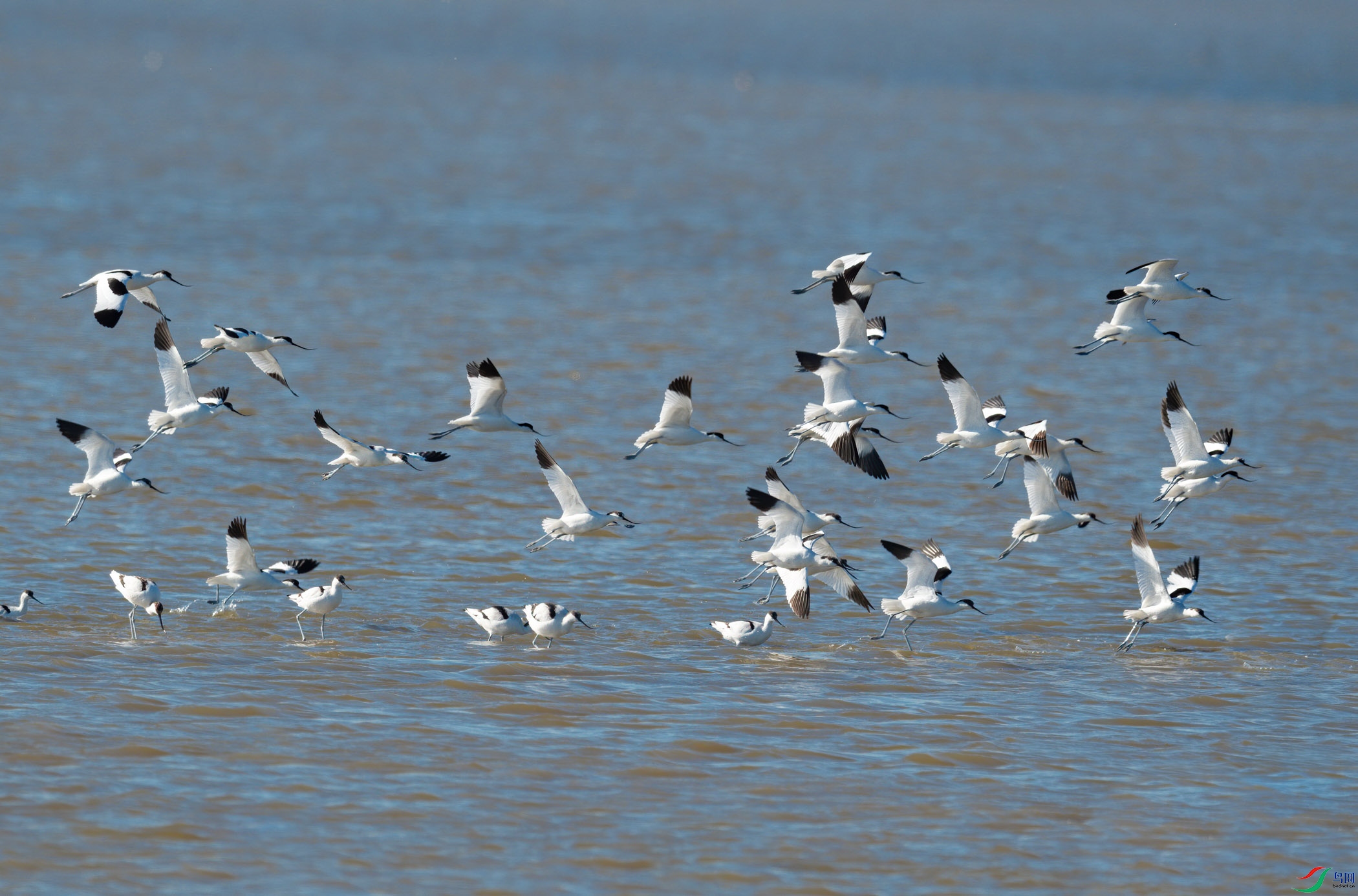 sen2017-10-29-26-�༭-3.jpg