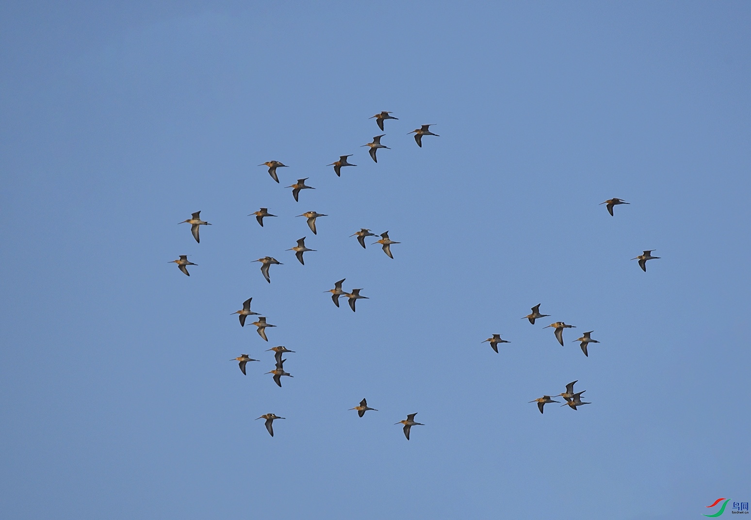 DSC_6895f.jpg