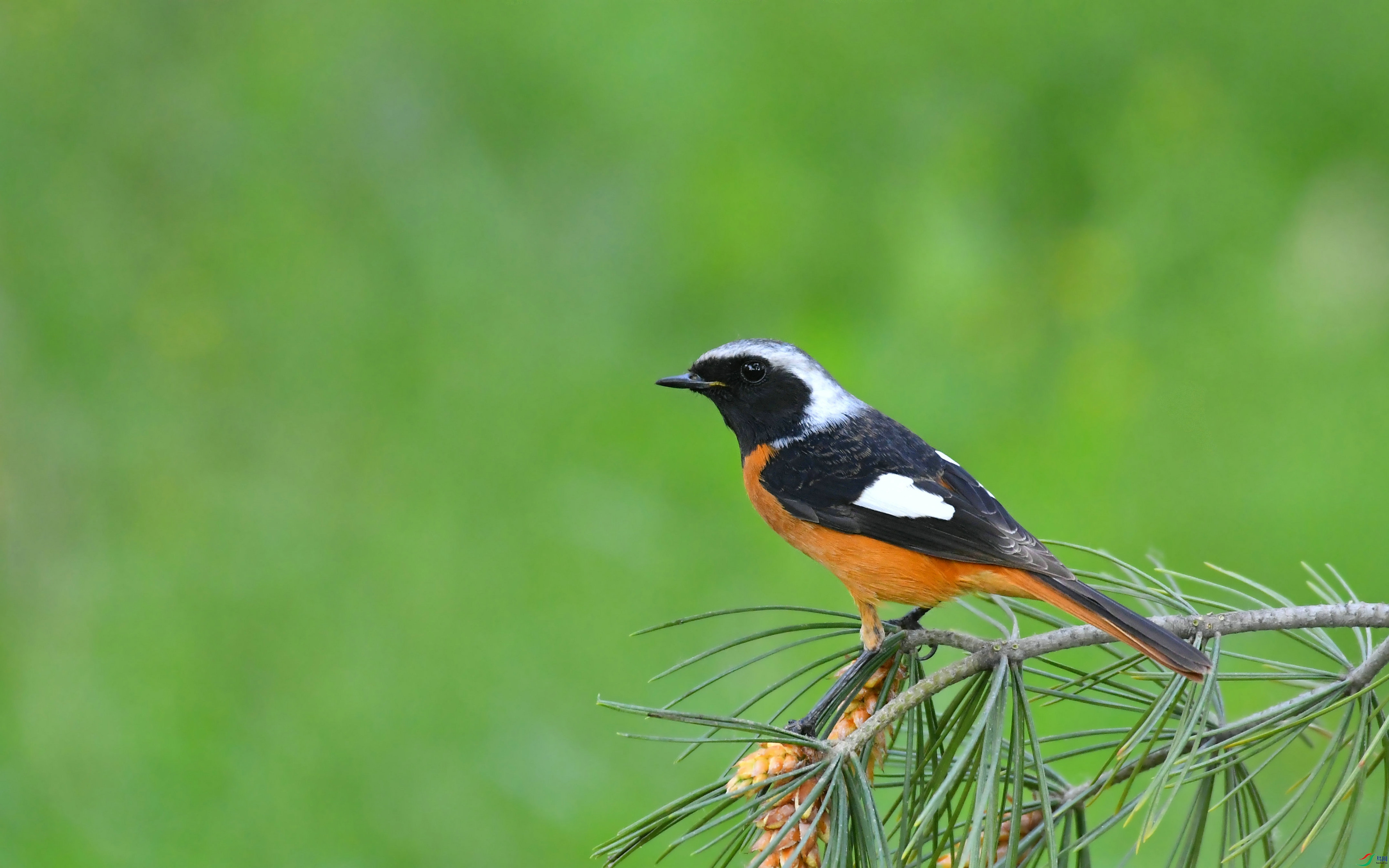 DSC_1547.JPG