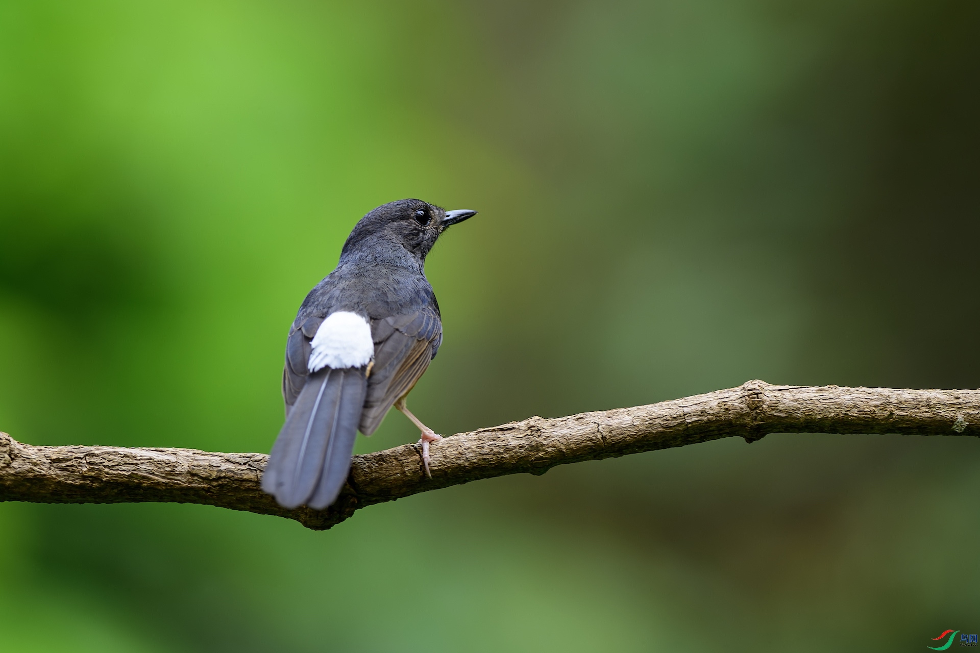 1_XXL7232-����ǿ-NR ����.jpeg