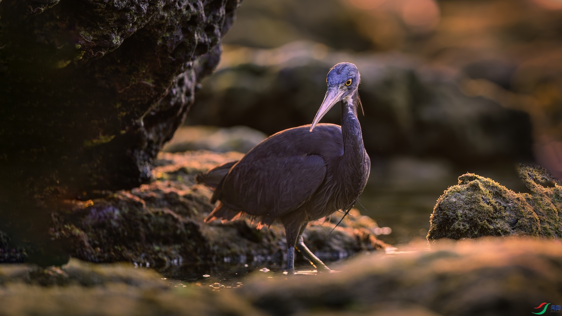 1_XXL8146-����ǿ-NR ����.jpeg